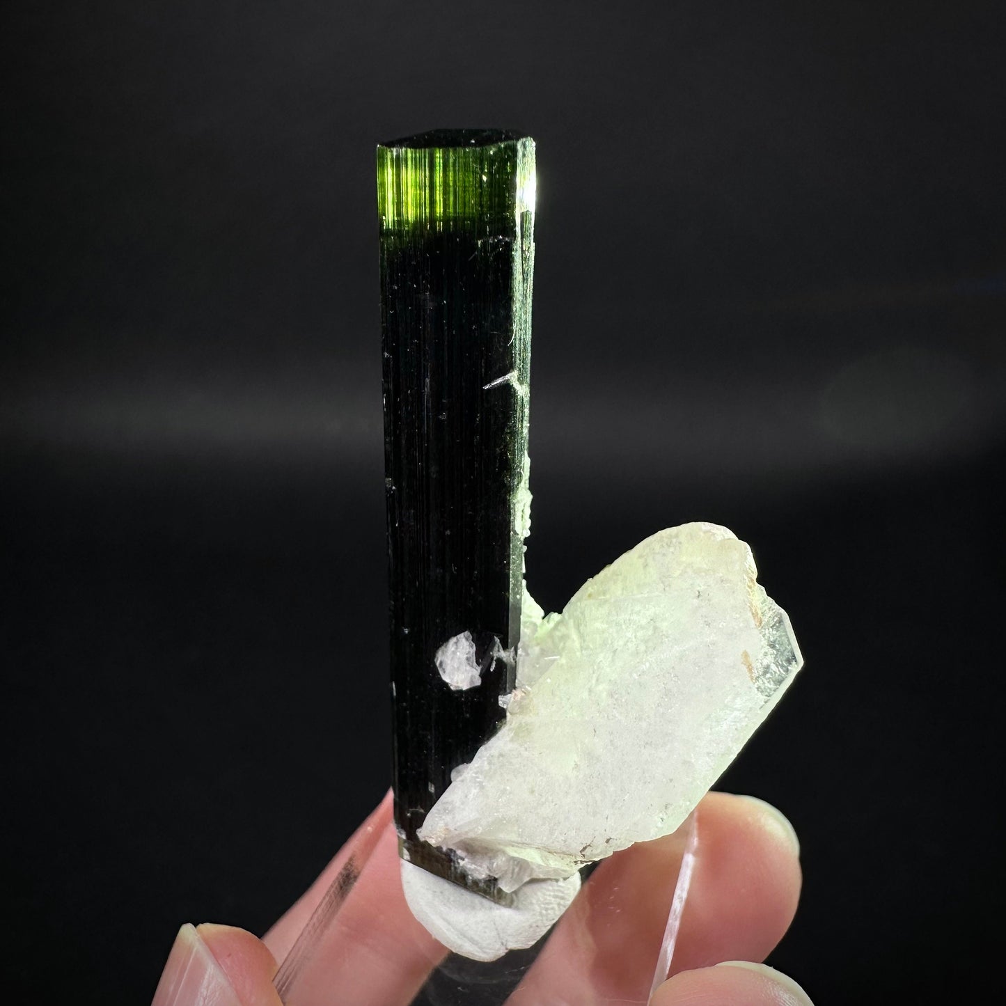 Green Cap Tourmaline with Albite (Pakistan) | raw tourmaline, green tourmaline, tourmaline crystal, rare minerals, rare crystals