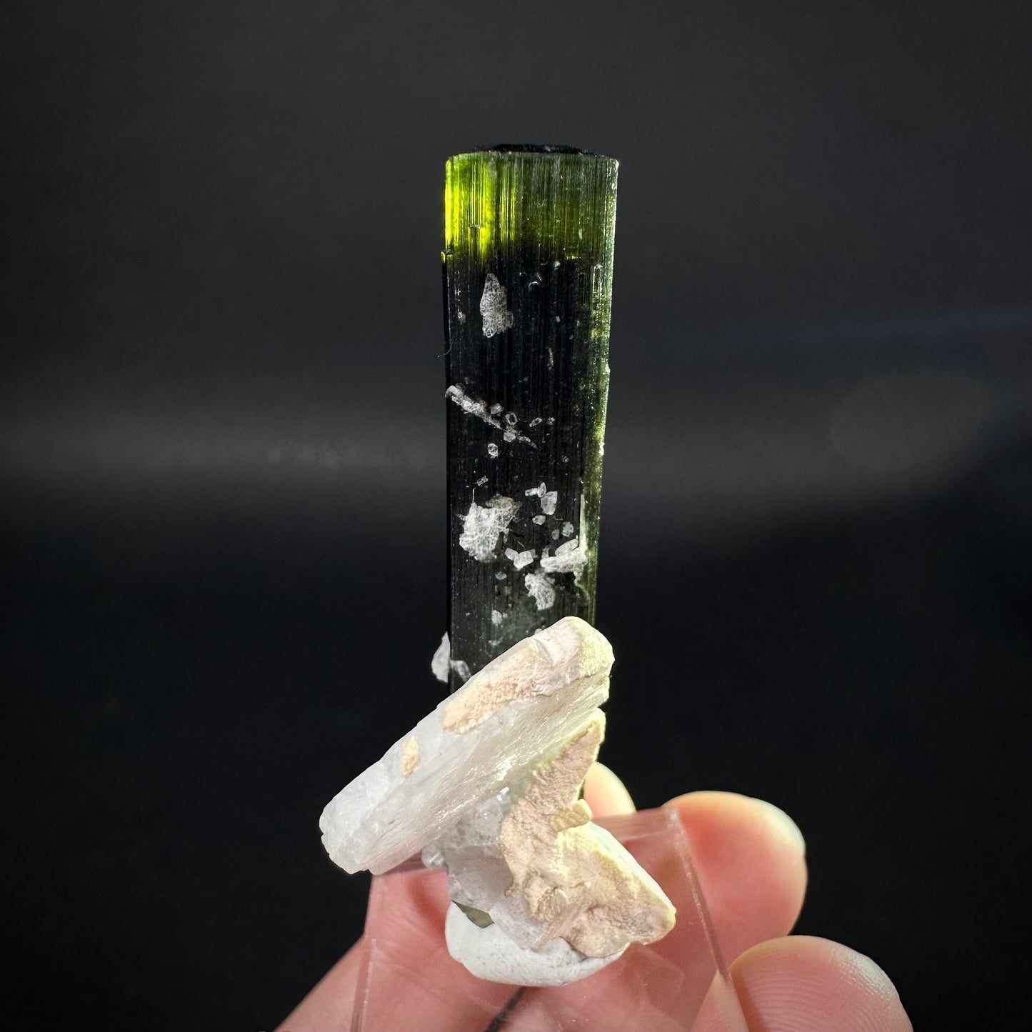 Green Cap Tourmaline with Albite (Pakistan) | raw tourmaline, green tourmaline, tourmaline crystal, rare minerals, rare crystals