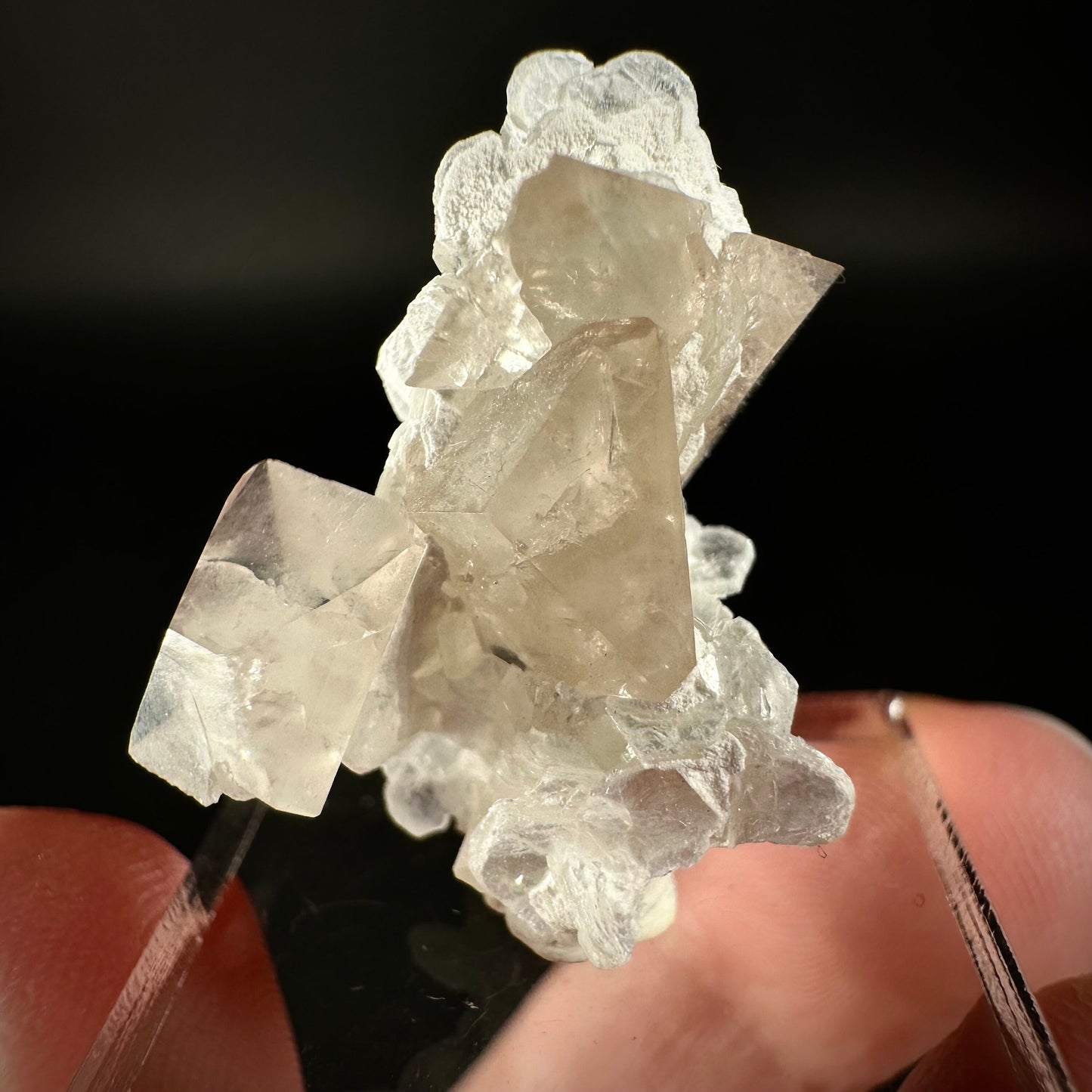 Champagne Topaz on Albite Matrix (Pakistan) | topaz crystal, rare crystals, mineral specimen, rare minerals, natural topaz, golden topaz