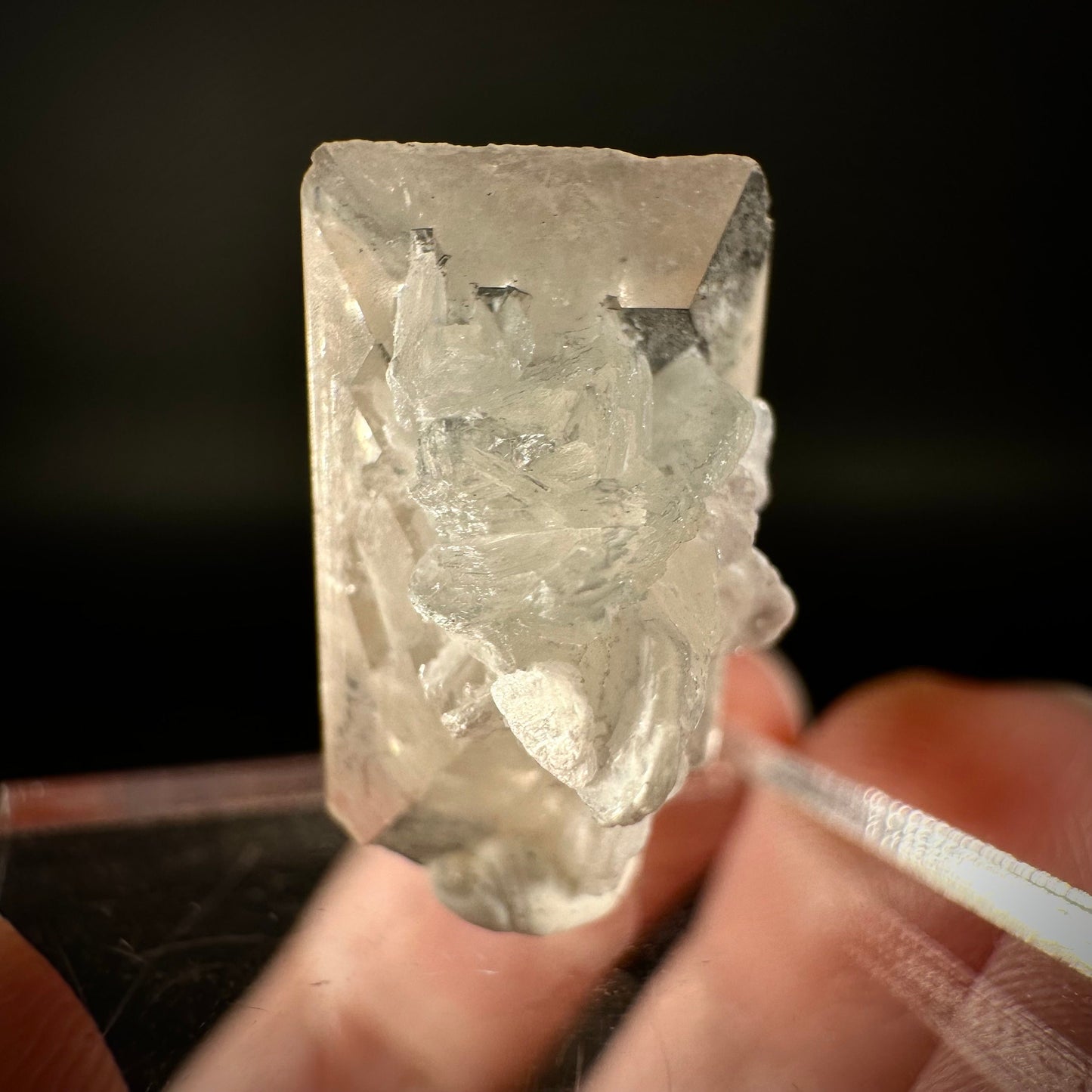 Champagne Topaz on Albite Matrix (Pakistan) | topaz crystal, rare crystals, mineral specimen, rare minerals, natural topaz, golden topaz