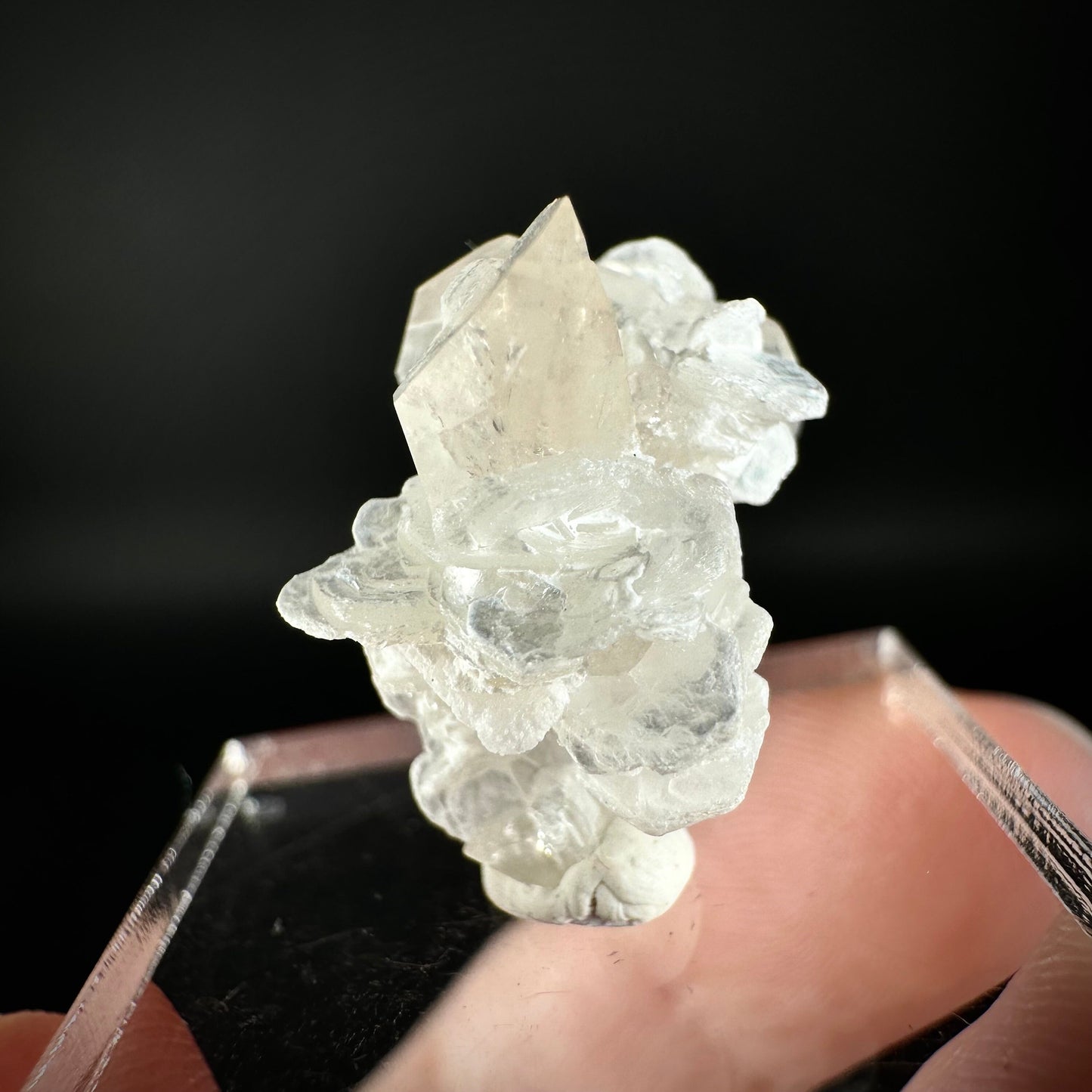 Champagne Topaz on Albite Matrix (Pakistan) | topaz crystal, rare crystals, mineral specimen, rare minerals, natural topaz, golden topaz