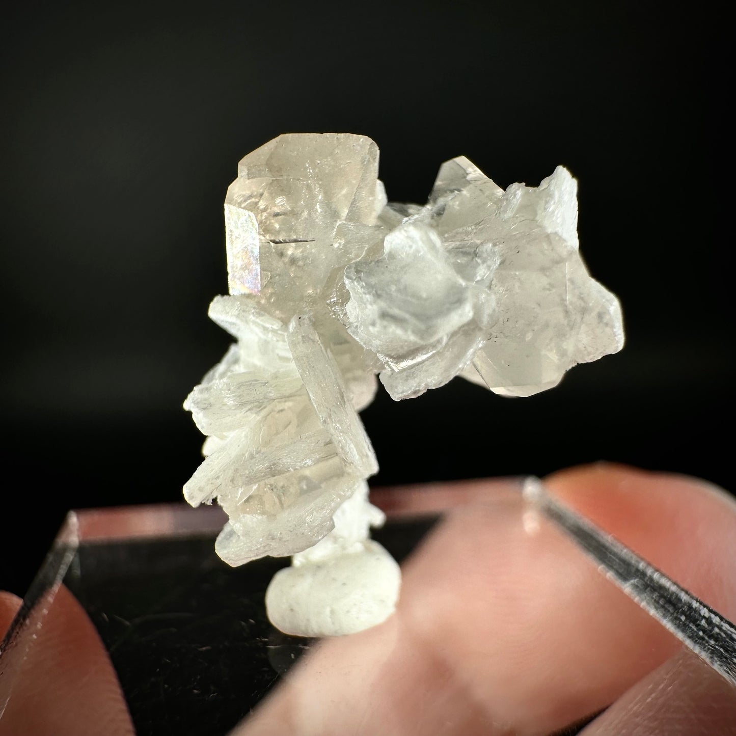 Champagne Topaz on Albite Matrix (Pakistan) | topaz crystal, rare crystals, mineral specimen, rare minerals, natural topaz, golden topaz