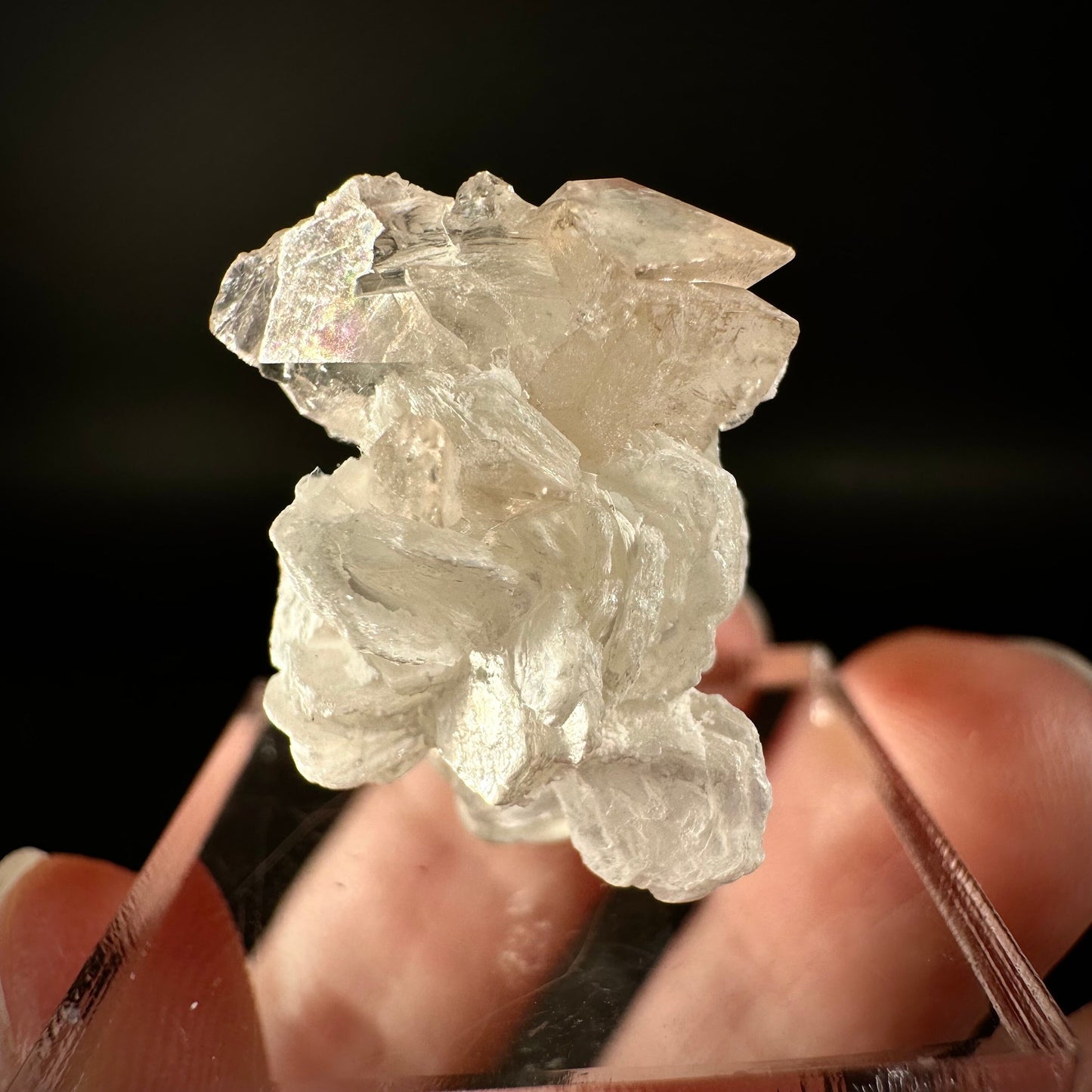 Champagne Topaz on Albite Matrix (Pakistan) | topaz crystal, rare crystals, mineral specimen, rare minerals, natural topaz, golden topaz