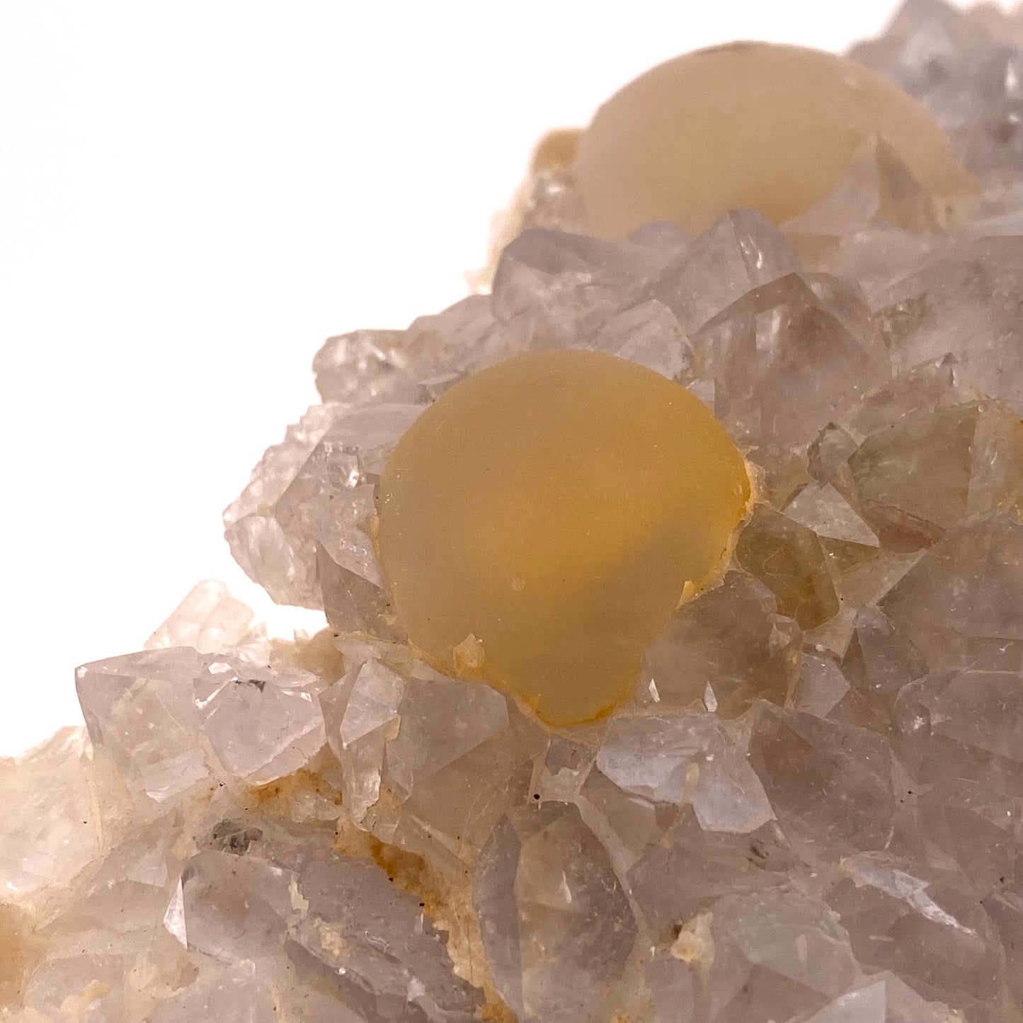 XXL Botryoidal Fluorite on Quartz (India) | fried egg crystal, egg fluorite, fluorite crystal, mineral specimen, yellow fluorite