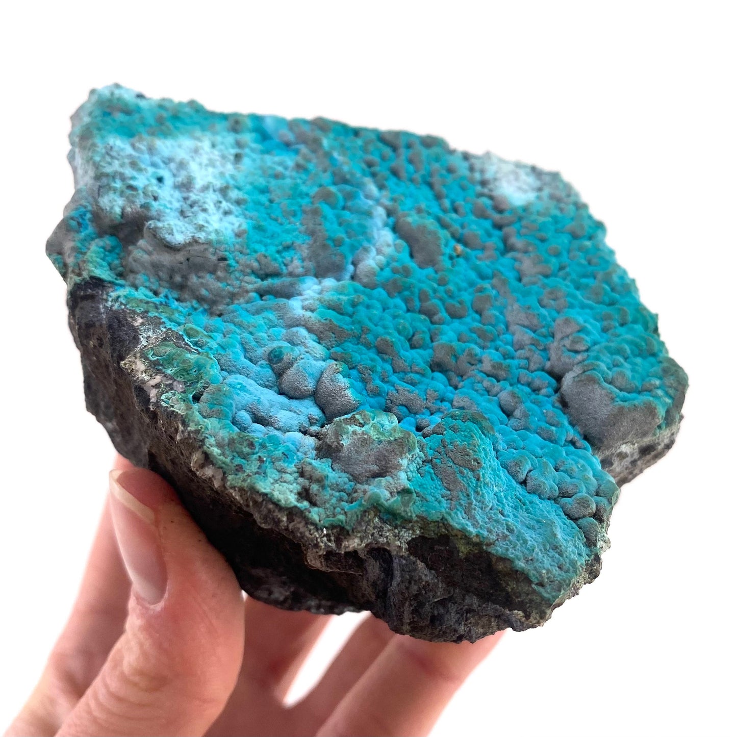 Botryoidal Chrysocolla on Malachite Specimen (Congo), raw chrysocolla, raw malachite, mineral specimen