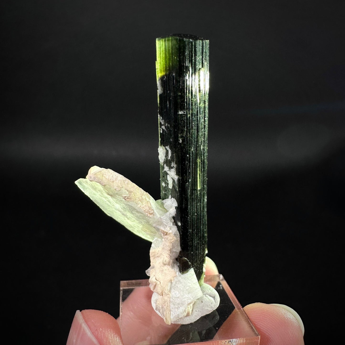 Green Cap Tourmaline with Albite (Pakistan) | raw tourmaline, green tourmaline, tourmaline crystal, rare minerals, rare crystals