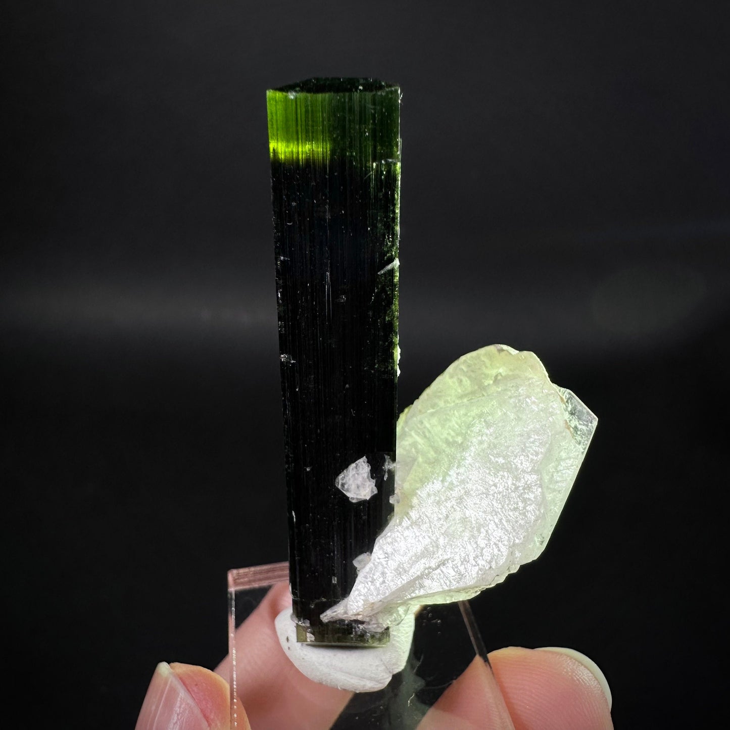 Green Cap Tourmaline with Albite (Pakistan) | raw tourmaline, green tourmaline, tourmaline crystal, rare minerals, rare crystals