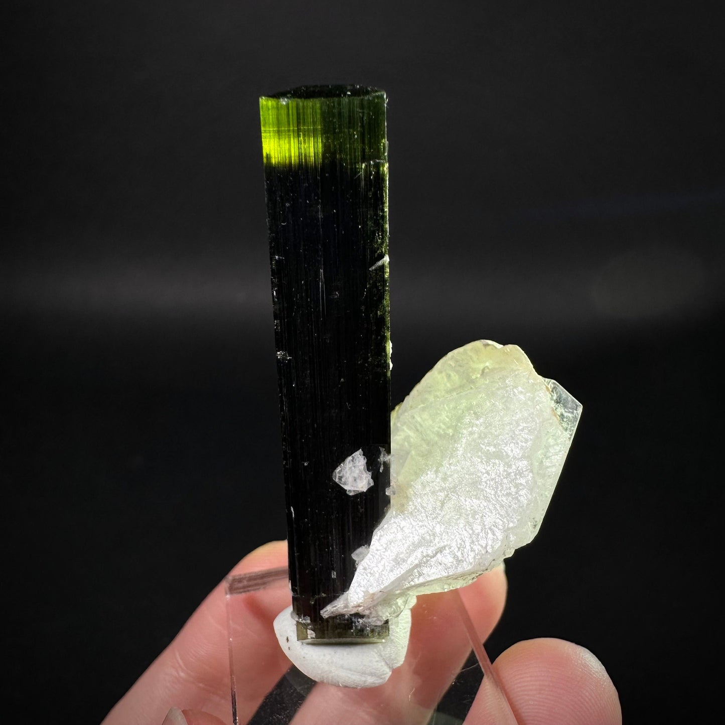 Green Cap Tourmaline with Albite (Pakistan) | raw tourmaline, green tourmaline, tourmaline crystal, rare minerals, rare crystals