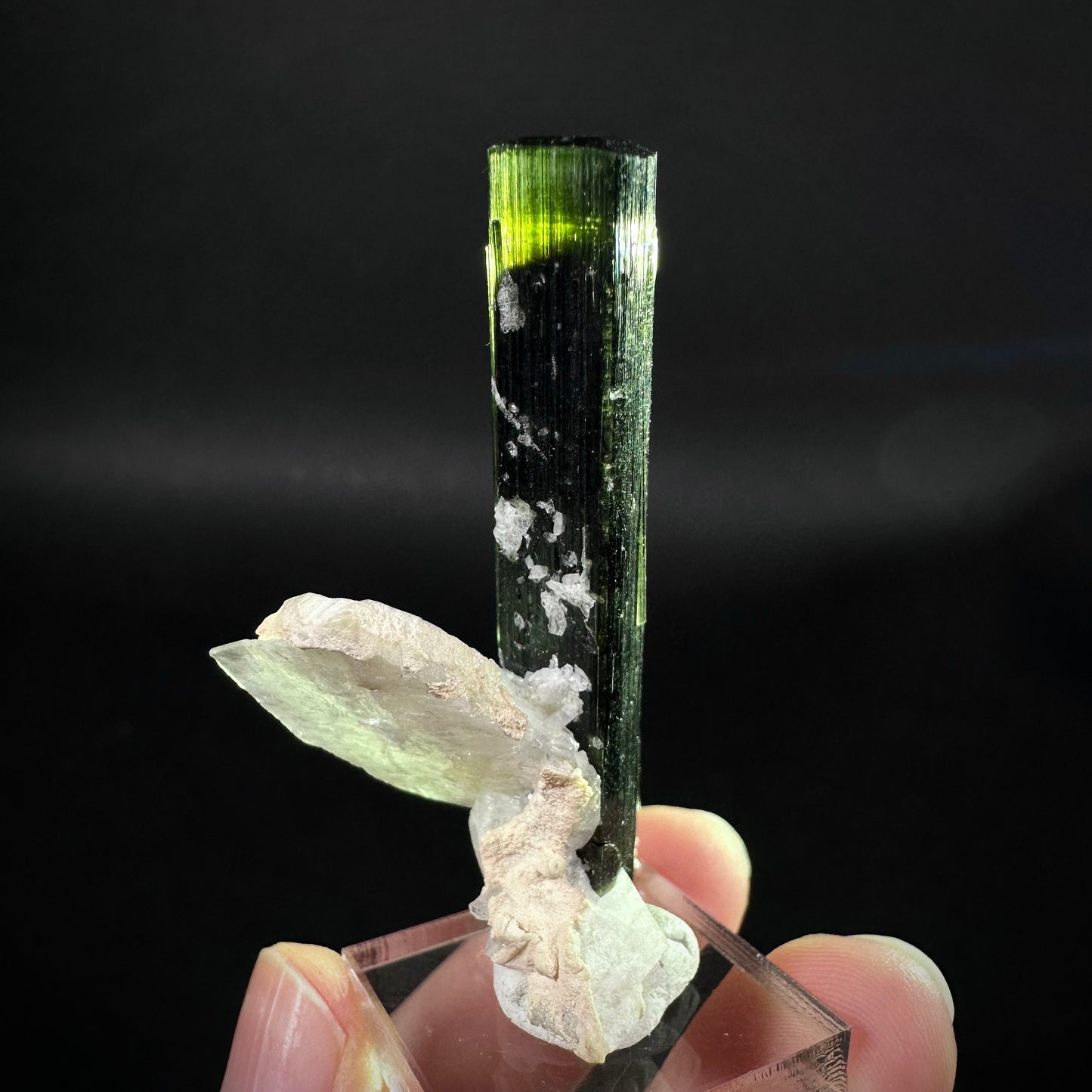 Green Cap Tourmaline with Albite (Pakistan) | raw tourmaline, green tourmaline, tourmaline crystal, rare minerals, rare crystals