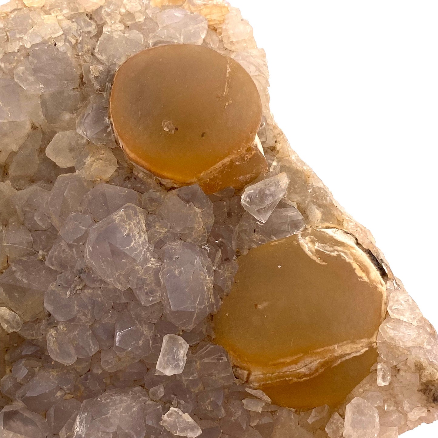 XXL Botryoidal Fluorite on Quartz (India) | fried egg crystal, egg fluorite, fluorite crystal, mineral specimen, yellow fluorite