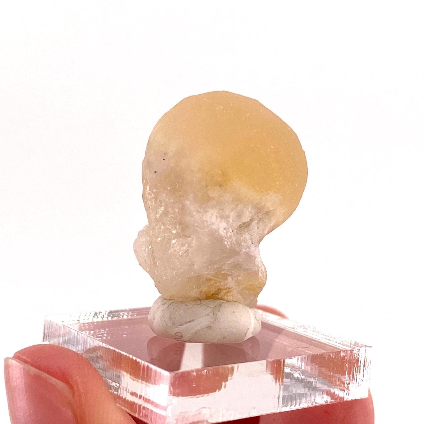 Botryoidal Fluorite on Quartz (India) | fried egg crystal, egg fluorite, fluorite crystal, mineral specimen, yellow fluorite
