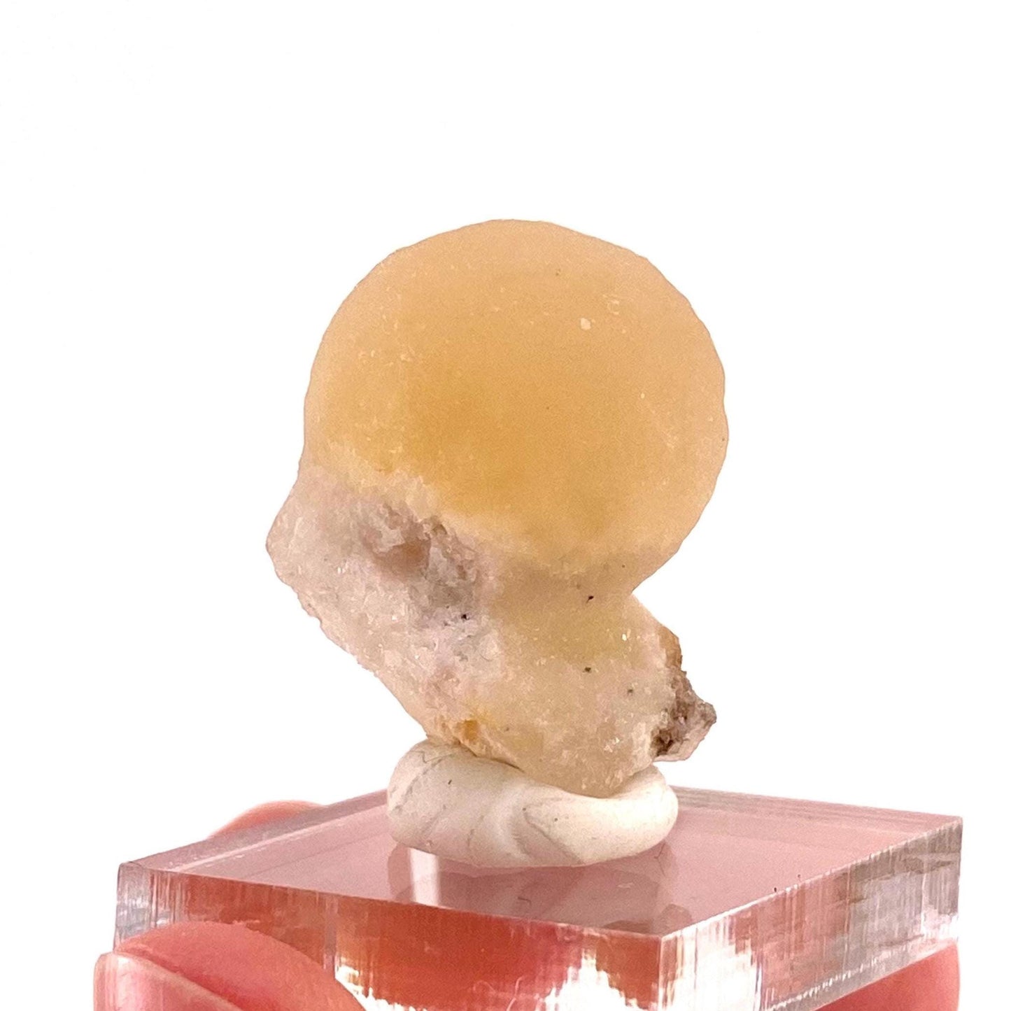 Botryoidal Fluorite on Quartz (India) | fried egg crystal, egg fluorite, fluorite crystal, mineral specimen, yellow fluorite