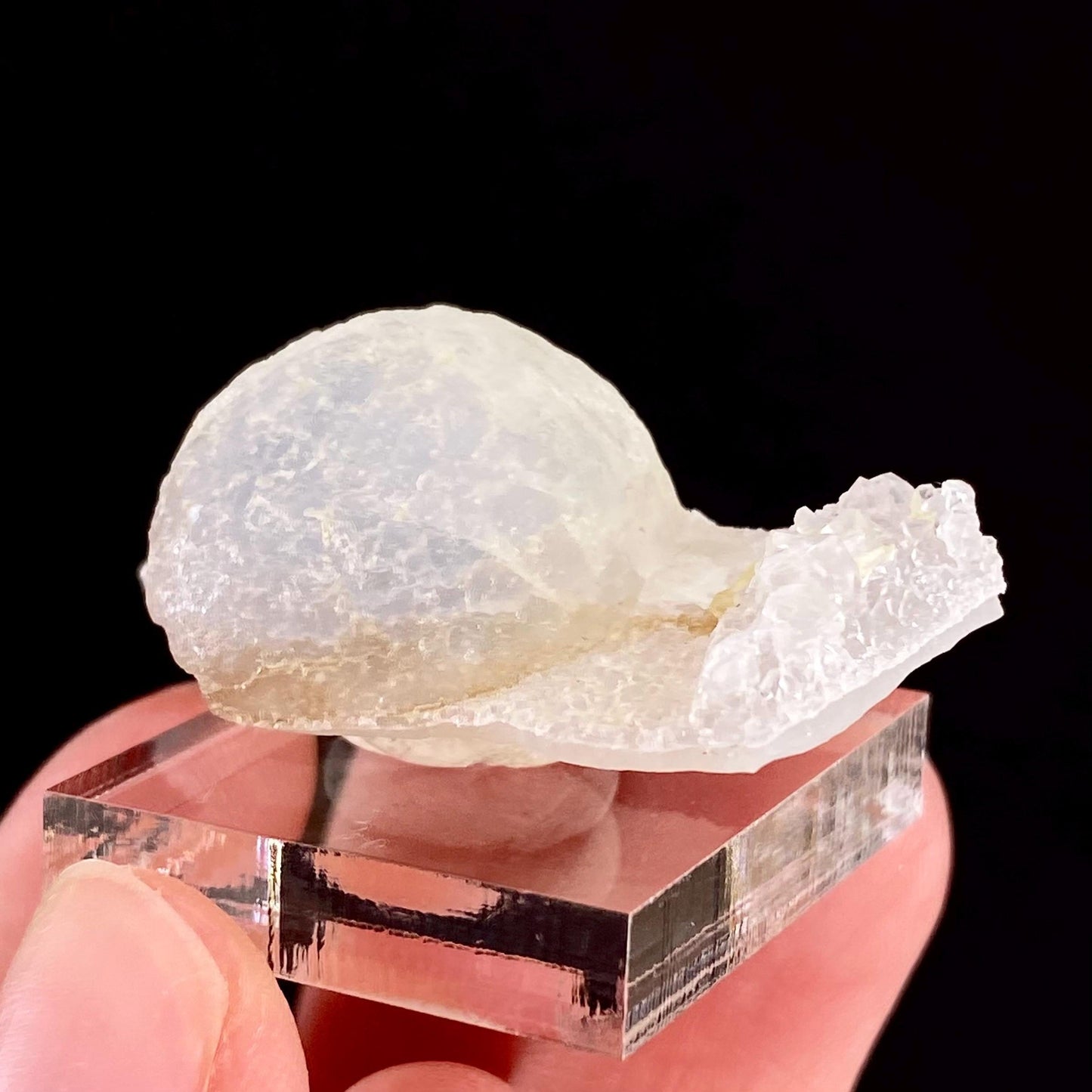 Botryoidal Fluorite on Quartz (India) | fried egg crystal, egg fluorite, fluorite crystal, mineral specimen, yellow fluorite