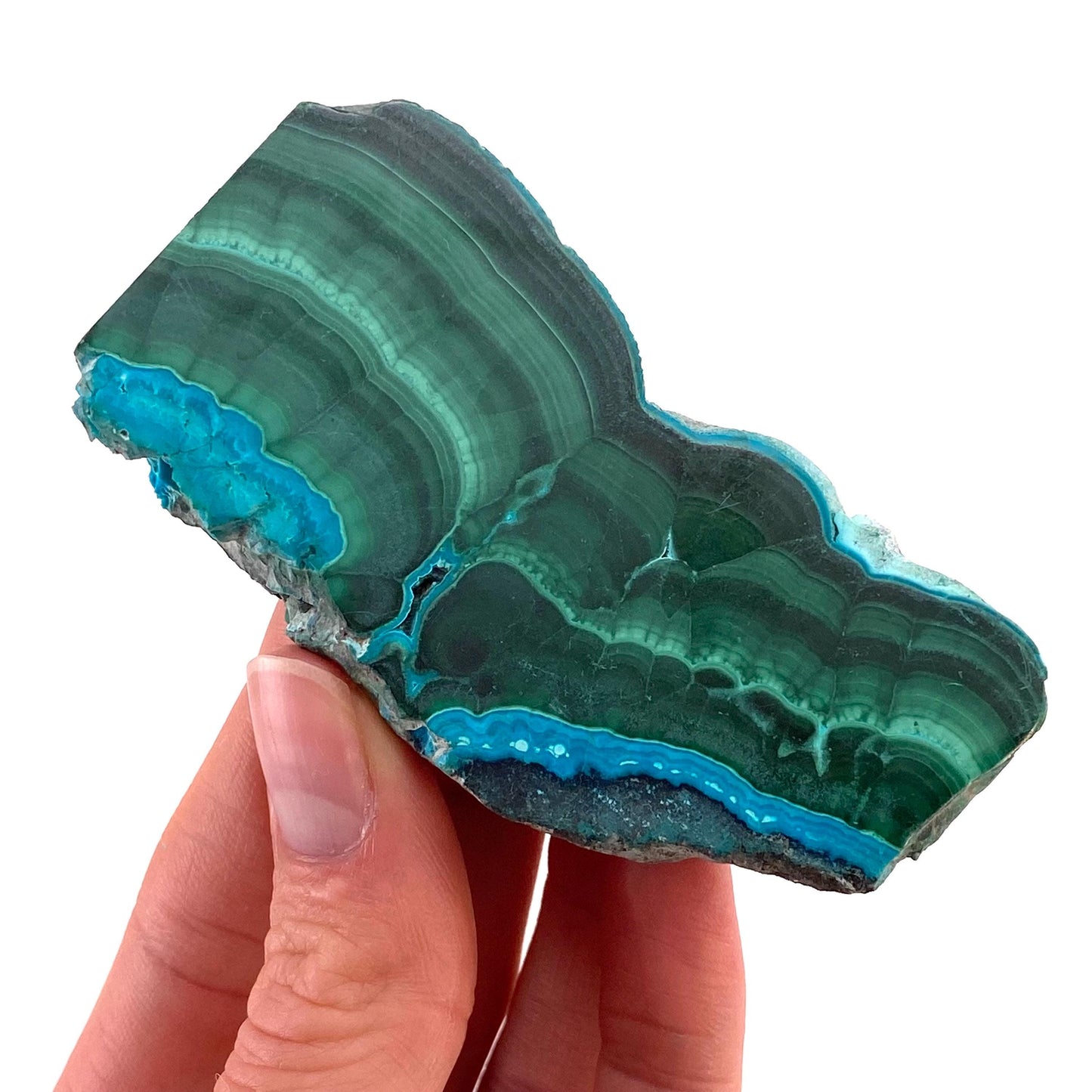 Malachite & Chrysocolla Slice (Congo), natural malachite, malachite slice, malachite slab, malacolla slice, polished malachite