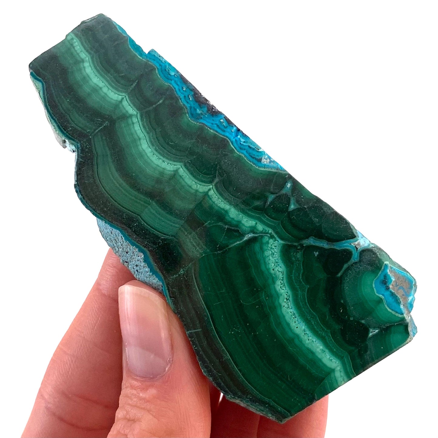 Malachite & Chrysocolla Slice (Congo), natural malachite, malachite slice, malachite slab, malacolla slice, polished malachite