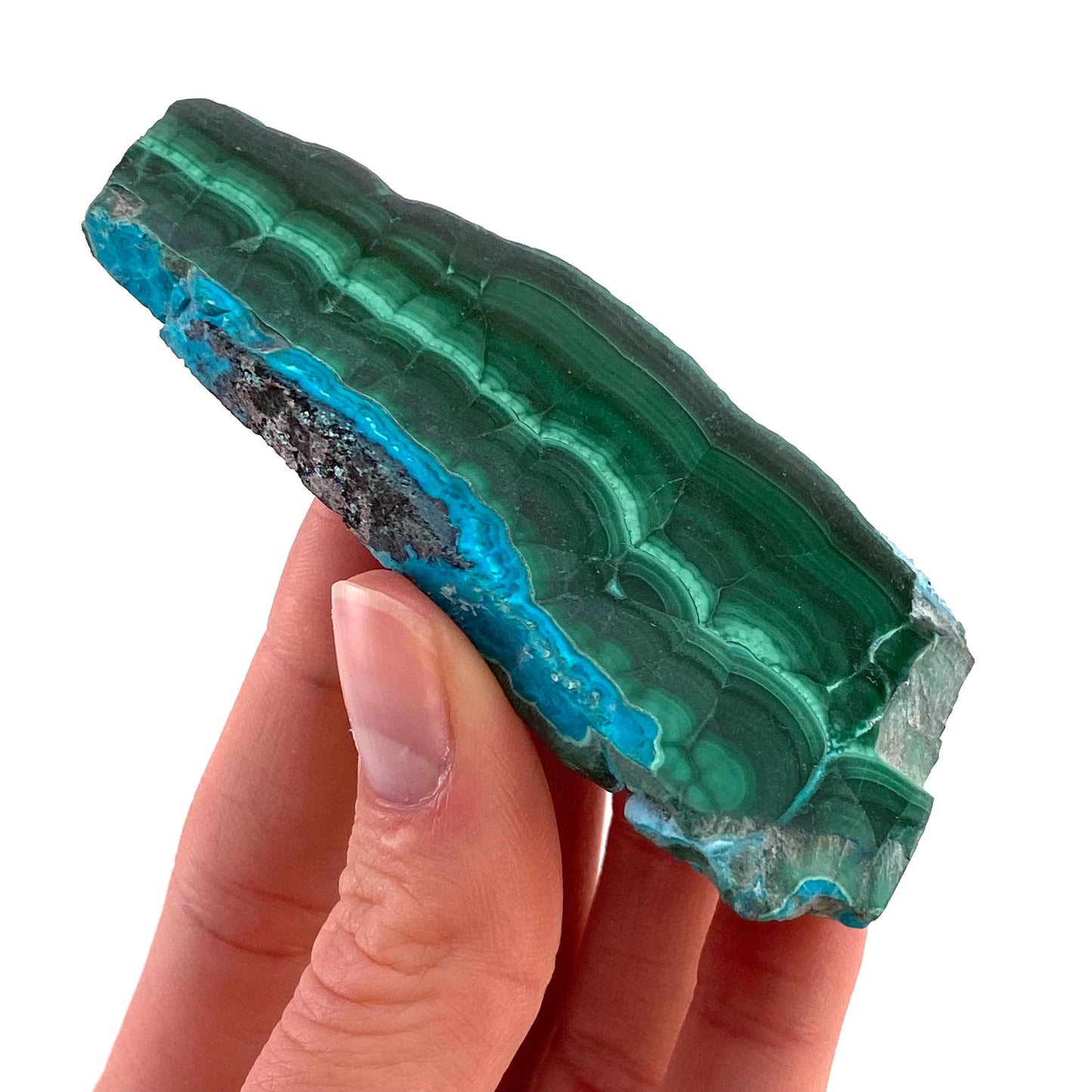 Malachite & Chrysocolla Slice (Congo), natural malachite, malachite slice, malachite slab, malacolla slice, polished malachite