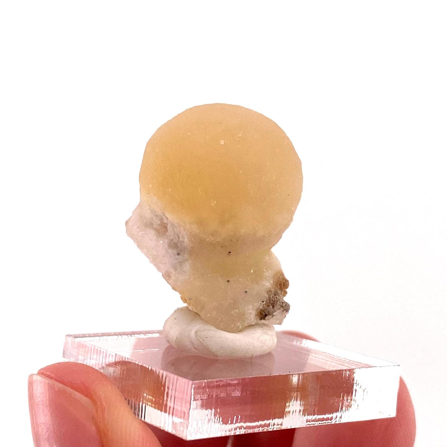 Botryoidal Fluorite on Quartz (India) | fried egg crystal, egg fluorite, fluorite crystal, mineral specimen, yellow fluorite
