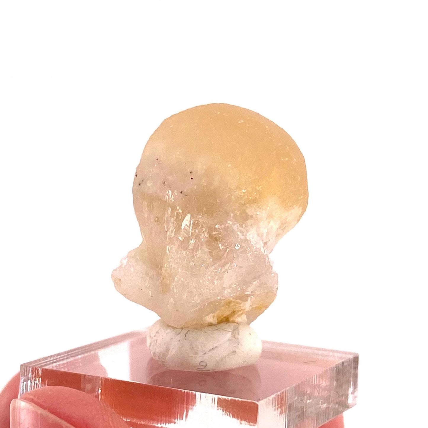 Botryoidal Fluorite on Quartz (India) | fried egg crystal, egg fluorite, fluorite crystal, mineral specimen, yellow fluorite