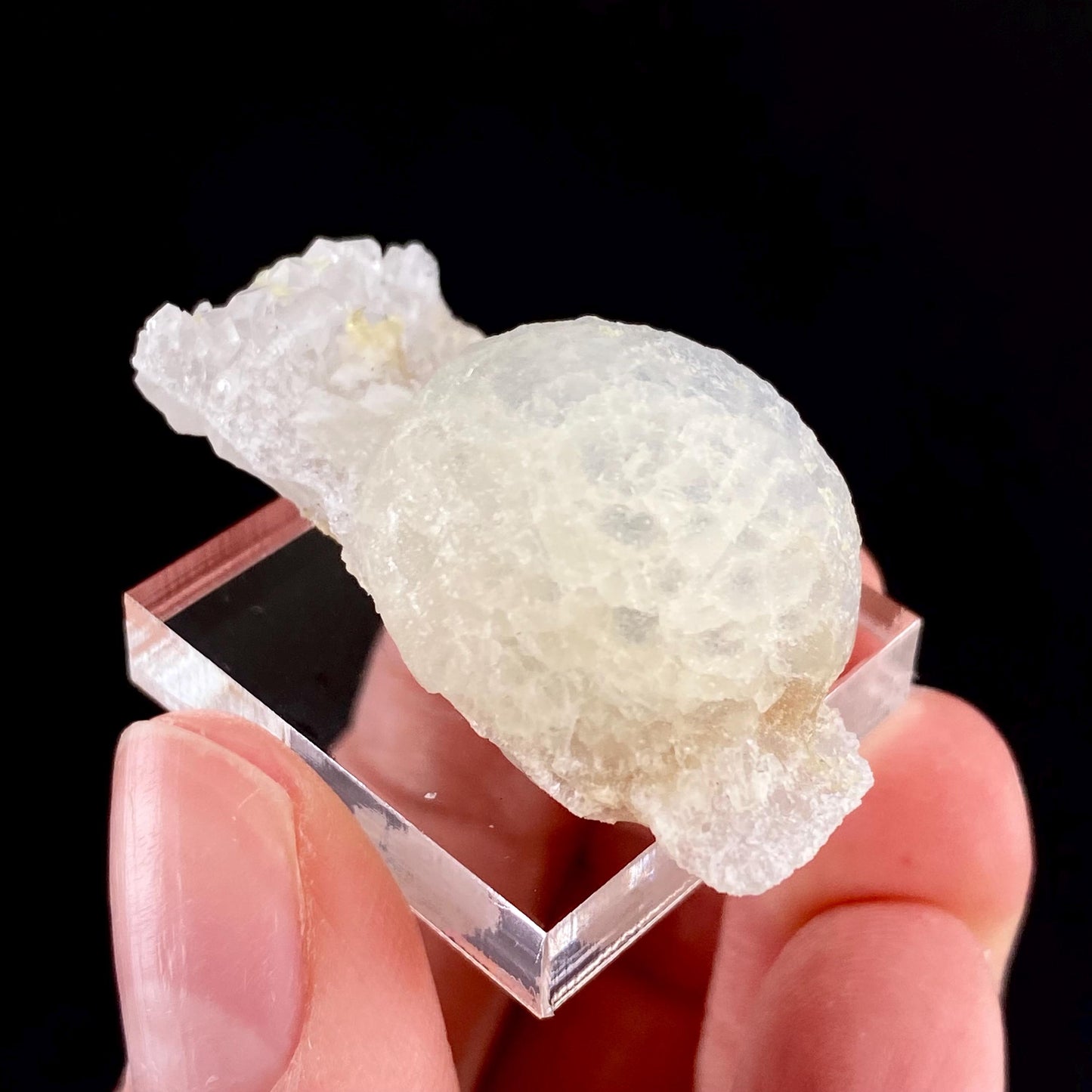 Botryoidal Fluorite on Quartz (India) | fried egg crystal, egg fluorite, fluorite crystal, mineral specimen, yellow fluorite