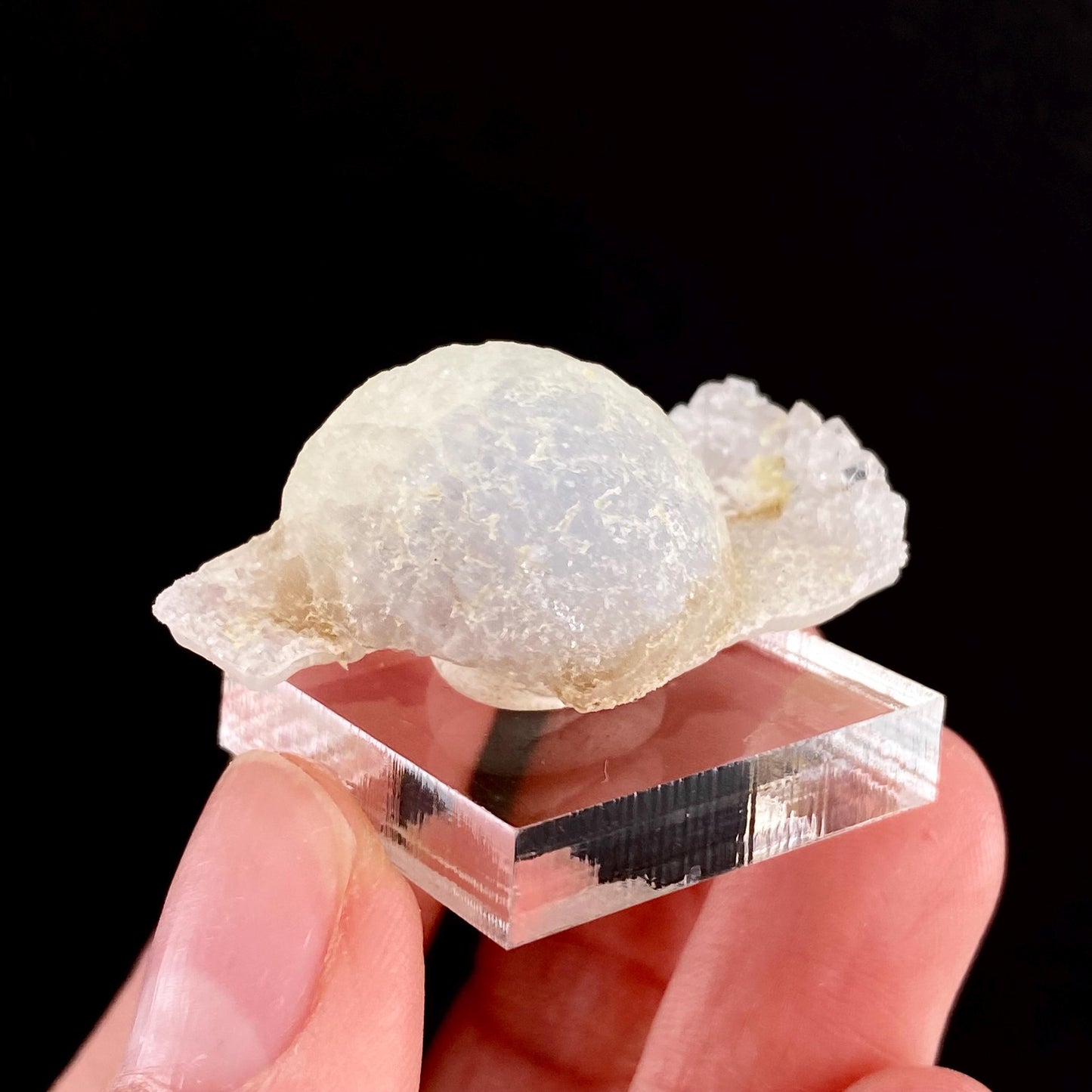 Botryoidal Fluorite on Quartz (India) | fried egg crystal, egg fluorite, fluorite crystal, mineral specimen, yellow fluorite