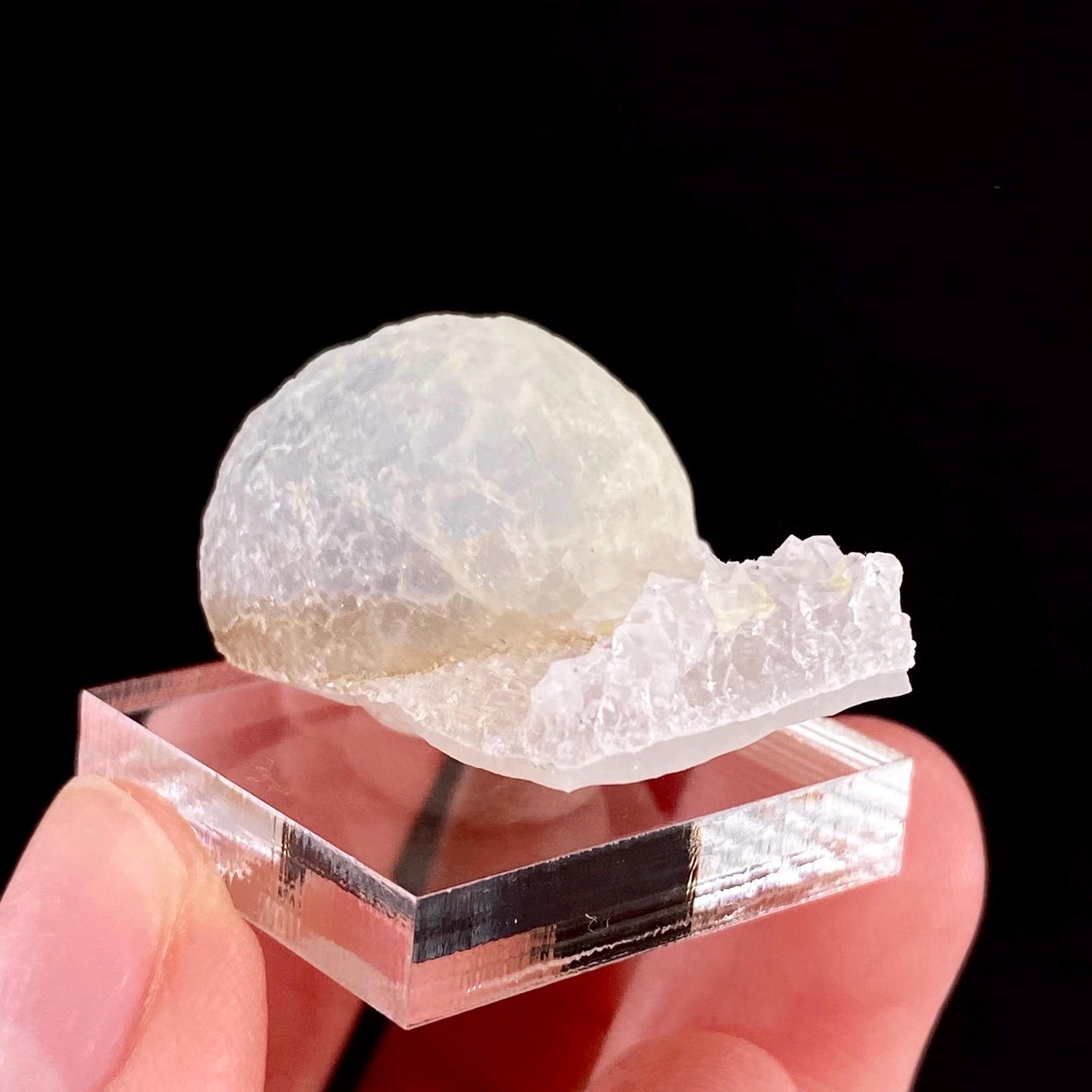 Botryoidal Fluorite on Quartz (India) | fried egg crystal, egg fluorite, fluorite crystal, mineral specimen, yellow fluorite