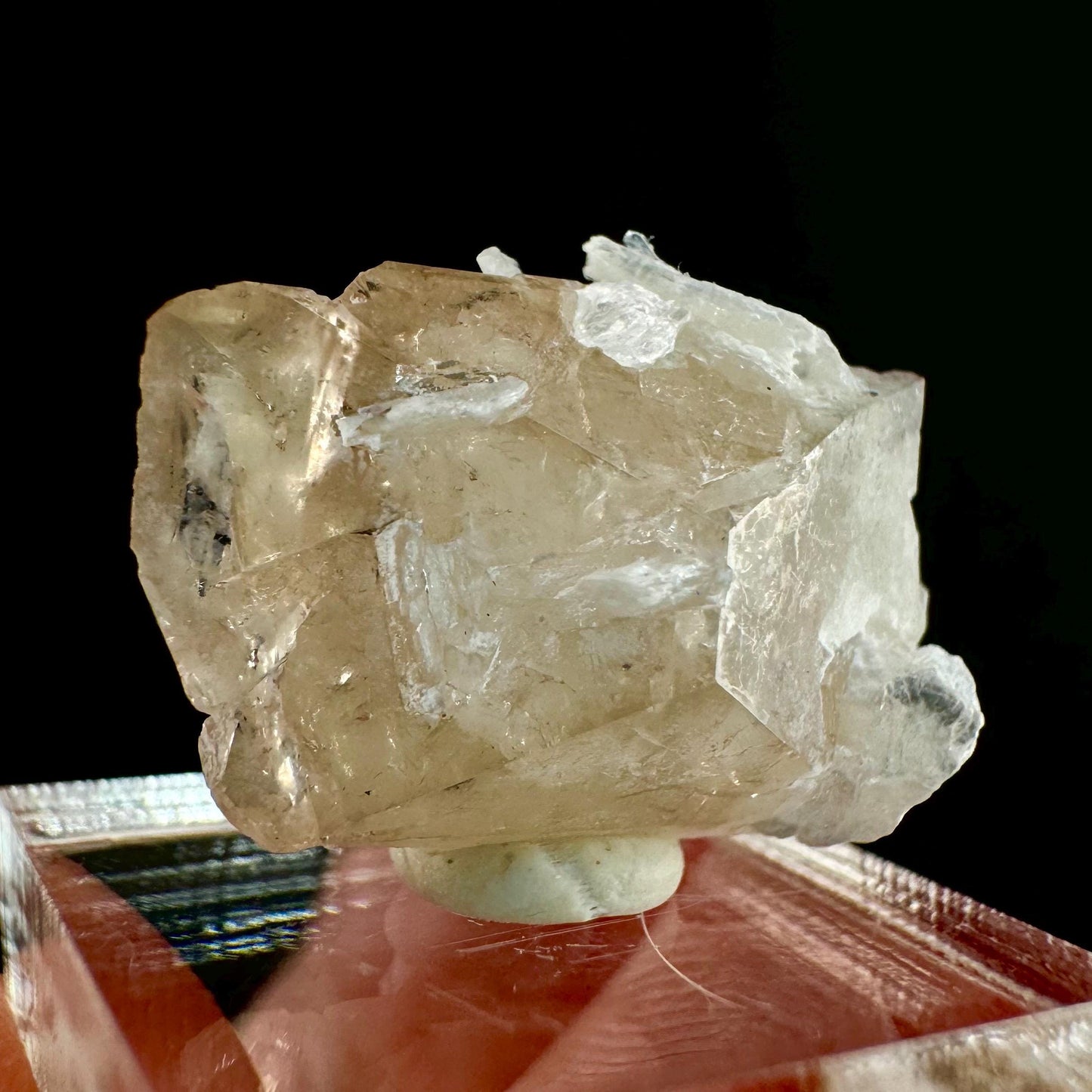 Champagne Topaz on Albite Matrix (Pakistan) | topaz crystal, rare crystals, mineral specimen, rare minerals, natural topaz, golden topaz