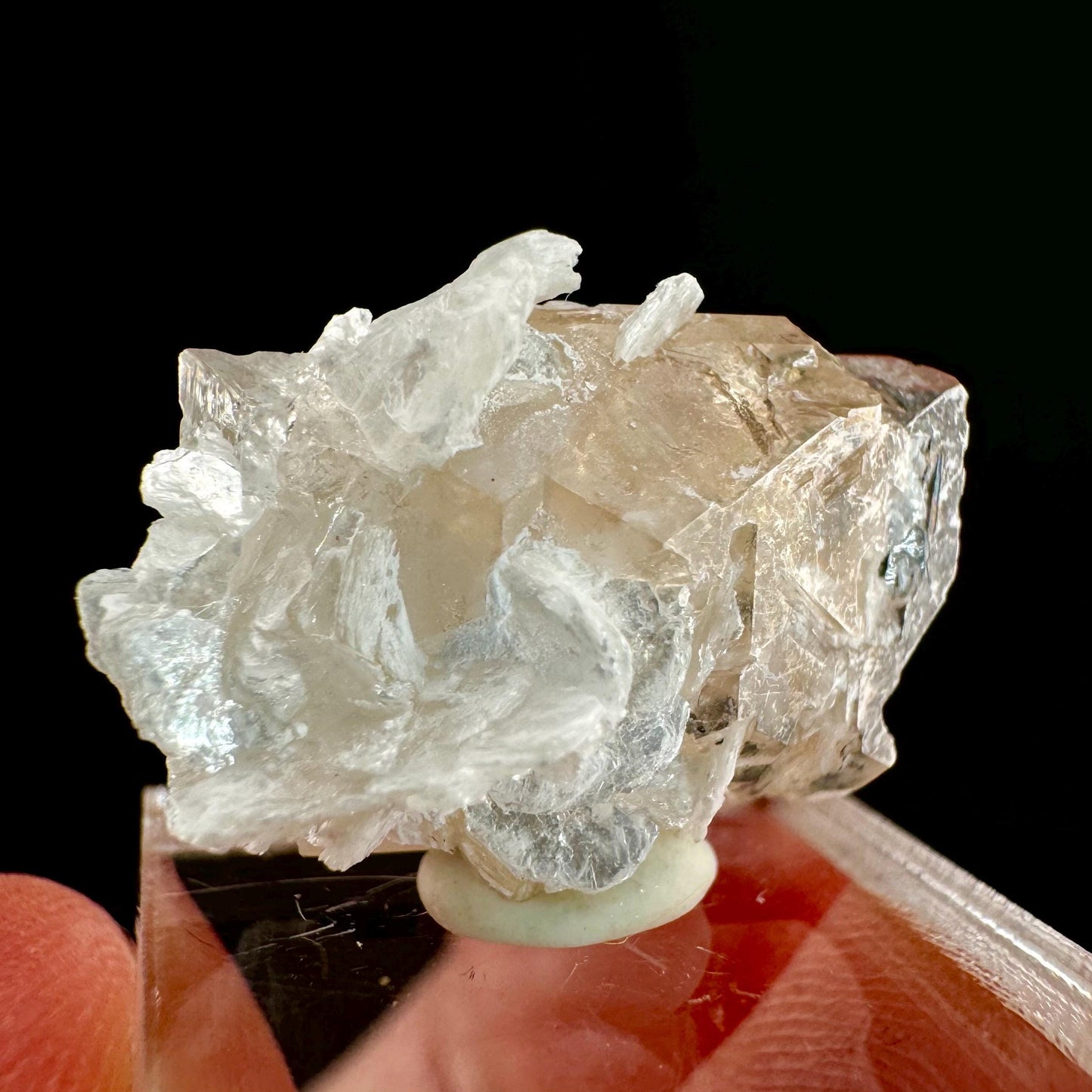 Champagne Topaz on Albite Matrix (Pakistan) | topaz crystal, rare crystals, mineral specimen, rare minerals, natural topaz, golden topaz