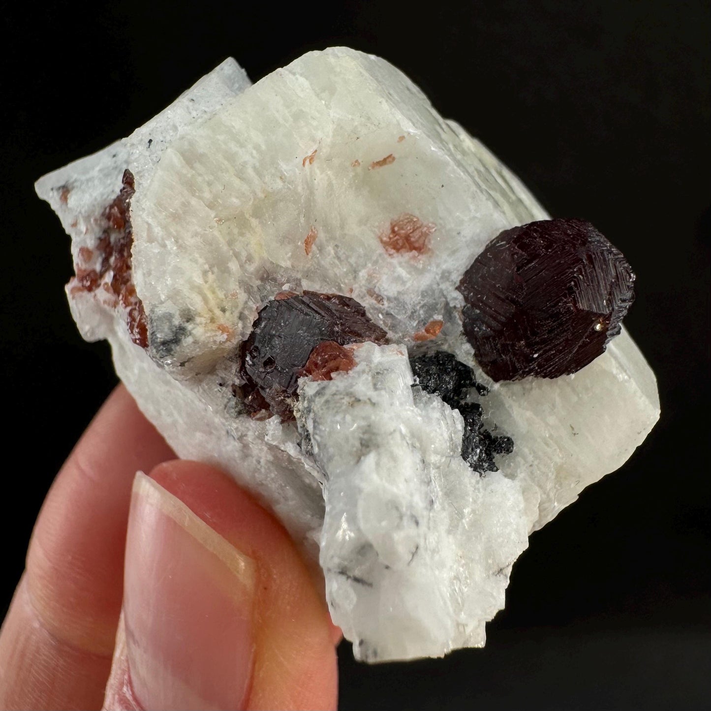 Spessartine Garnet with Albite (Pakistan) | raw garnet crystal, garnet crystal, rare crystals, orange garnet, mineral specimen