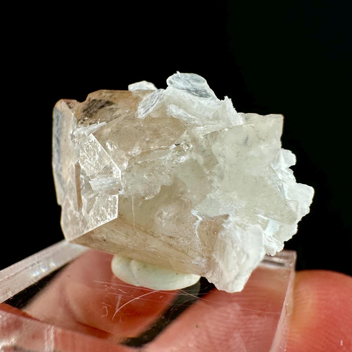 Champagne Topaz on Albite Matrix (Pakistan) | topaz crystal, rare crystals, mineral specimen, rare minerals, natural topaz, golden topaz