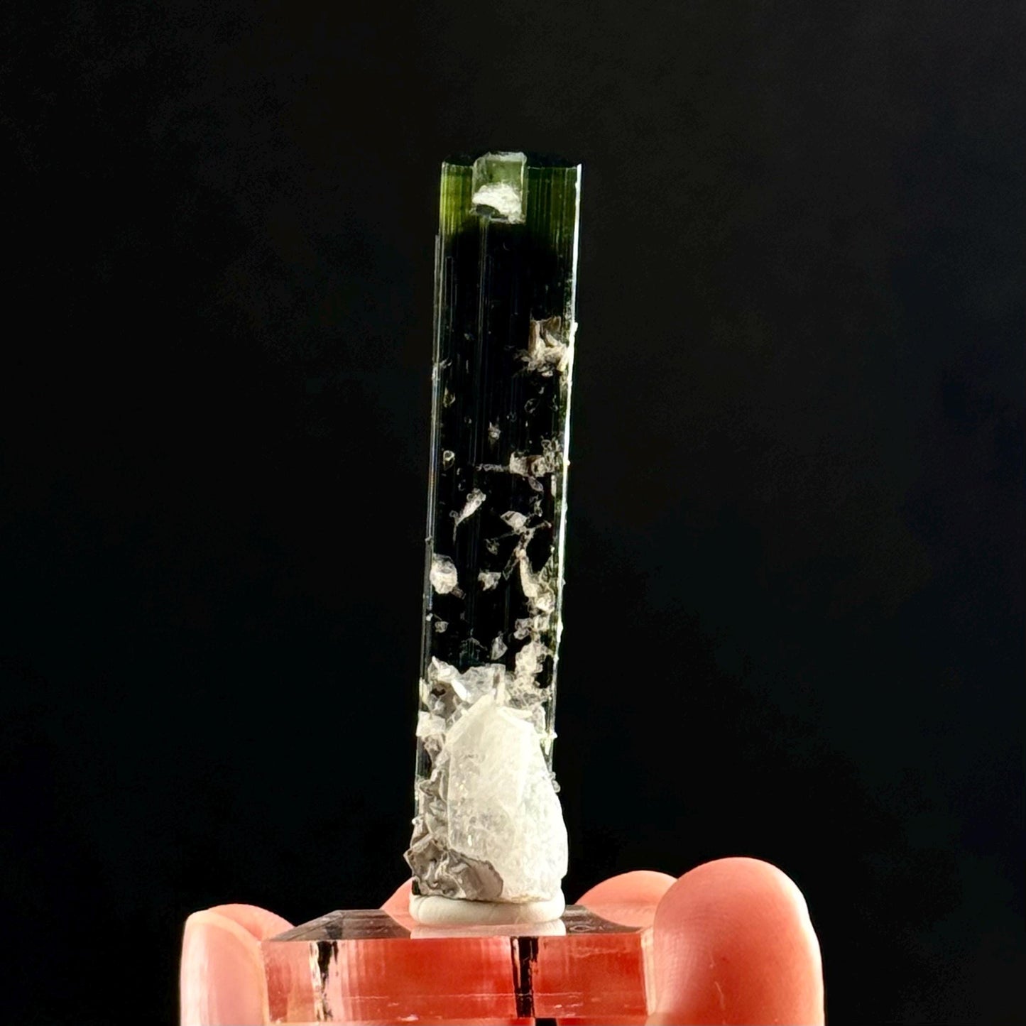 Green Cap Tourmaline with Albite (Pakistan) | raw tourmaline, green tourmaline, tourmaline crystal, rare minerals, rare crystals