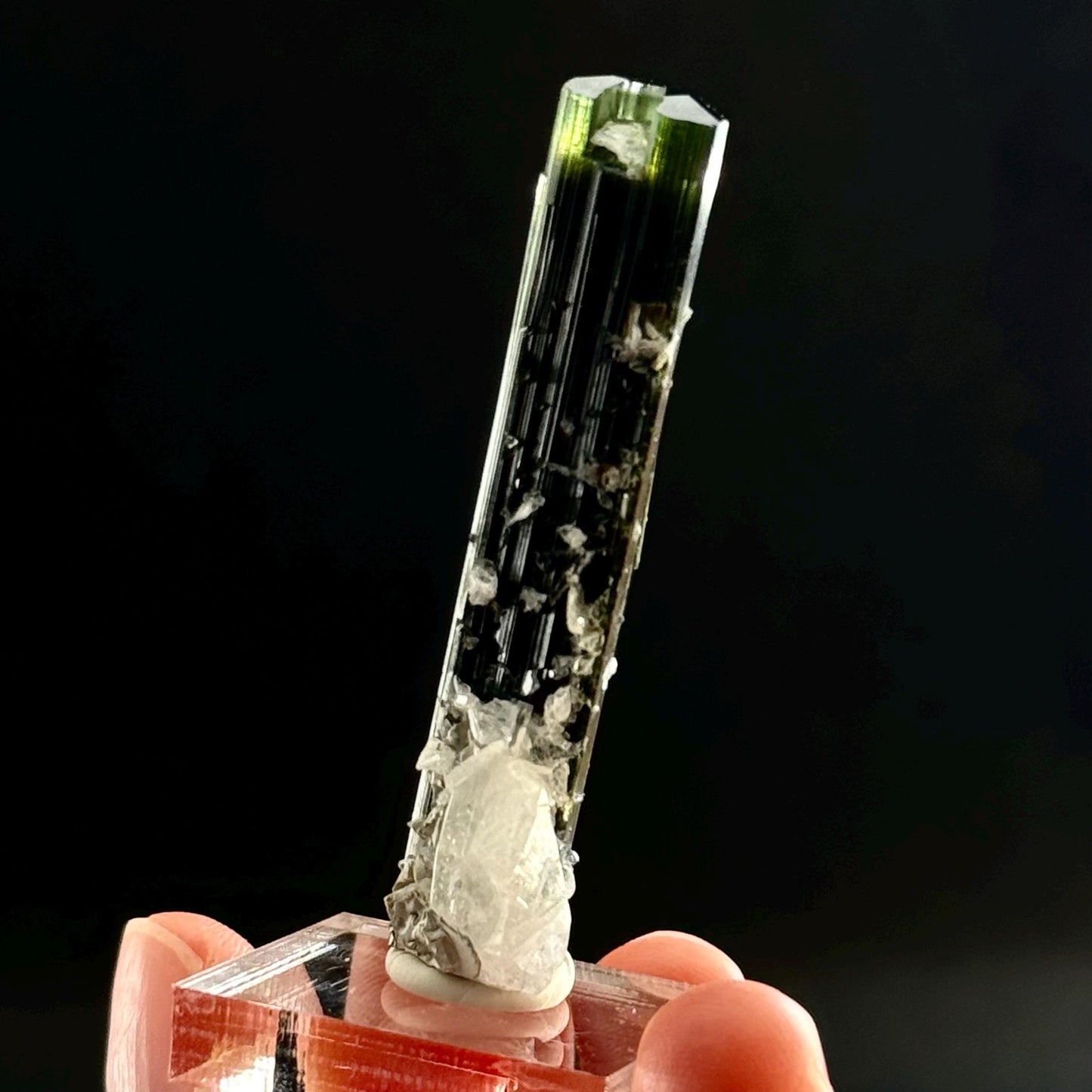Green Cap Tourmaline with Albite (Pakistan) | raw tourmaline, green tourmaline, tourmaline crystal, rare minerals, rare crystals