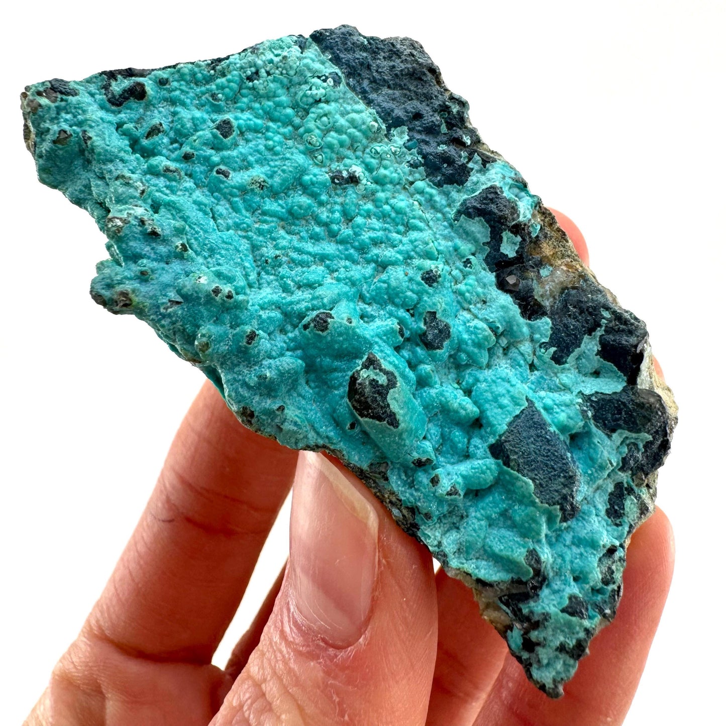 Chrysocolla Specimen (Congo), raw chrysocolla, botryoidal chrysocolla, chrysocolla crystal, rare crystals