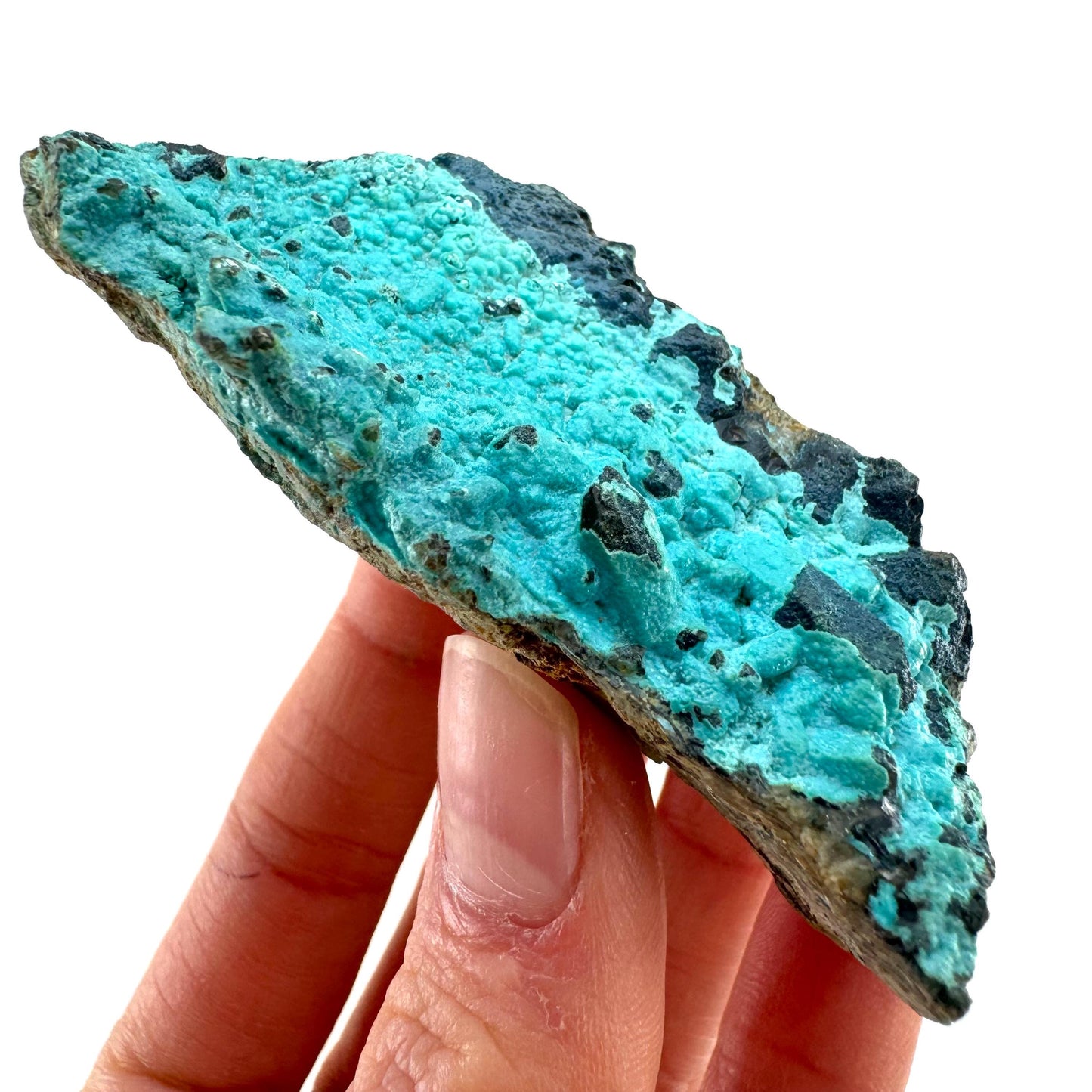 Chrysocolla Specimen (Congo), raw chrysocolla, botryoidal chrysocolla, chrysocolla crystal, rare crystals