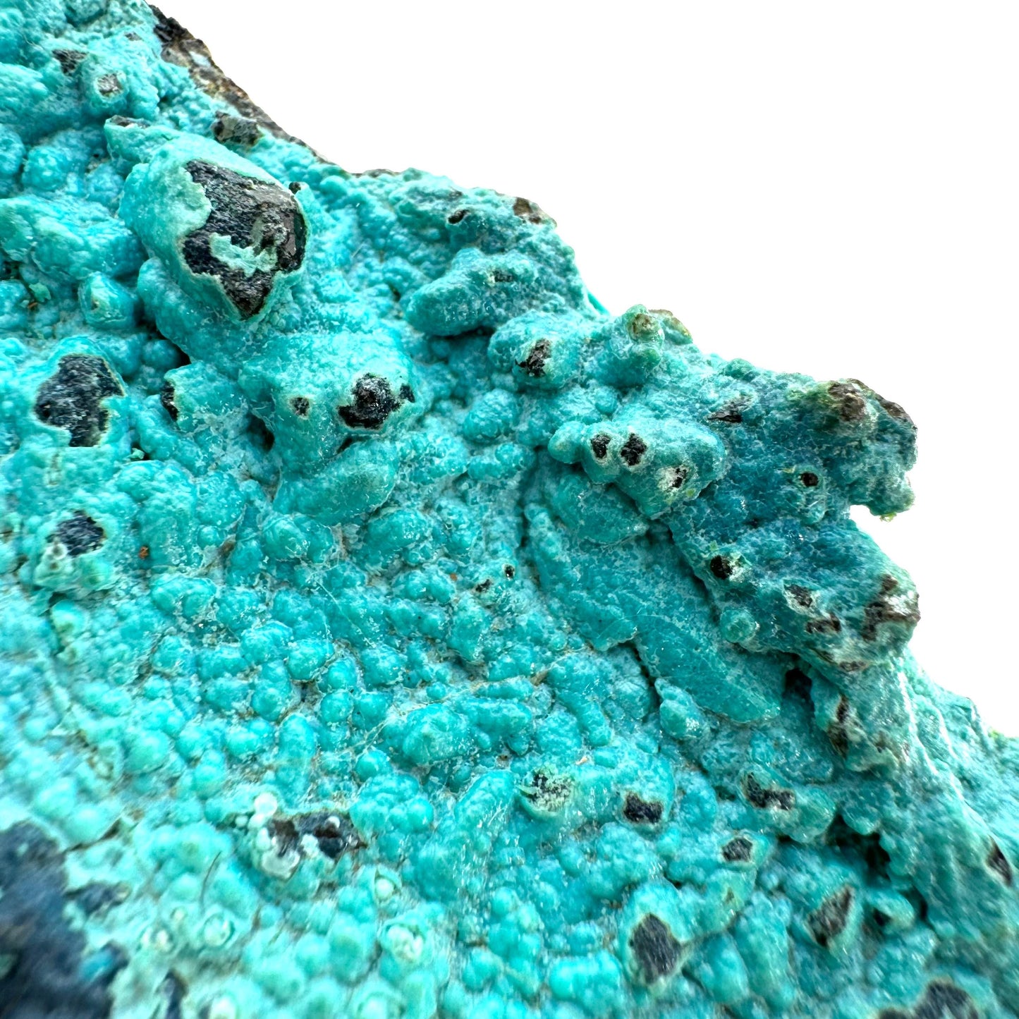 Chrysocolla Specimen (Congo), raw chrysocolla, botryoidal chrysocolla, chrysocolla crystal, rare crystals