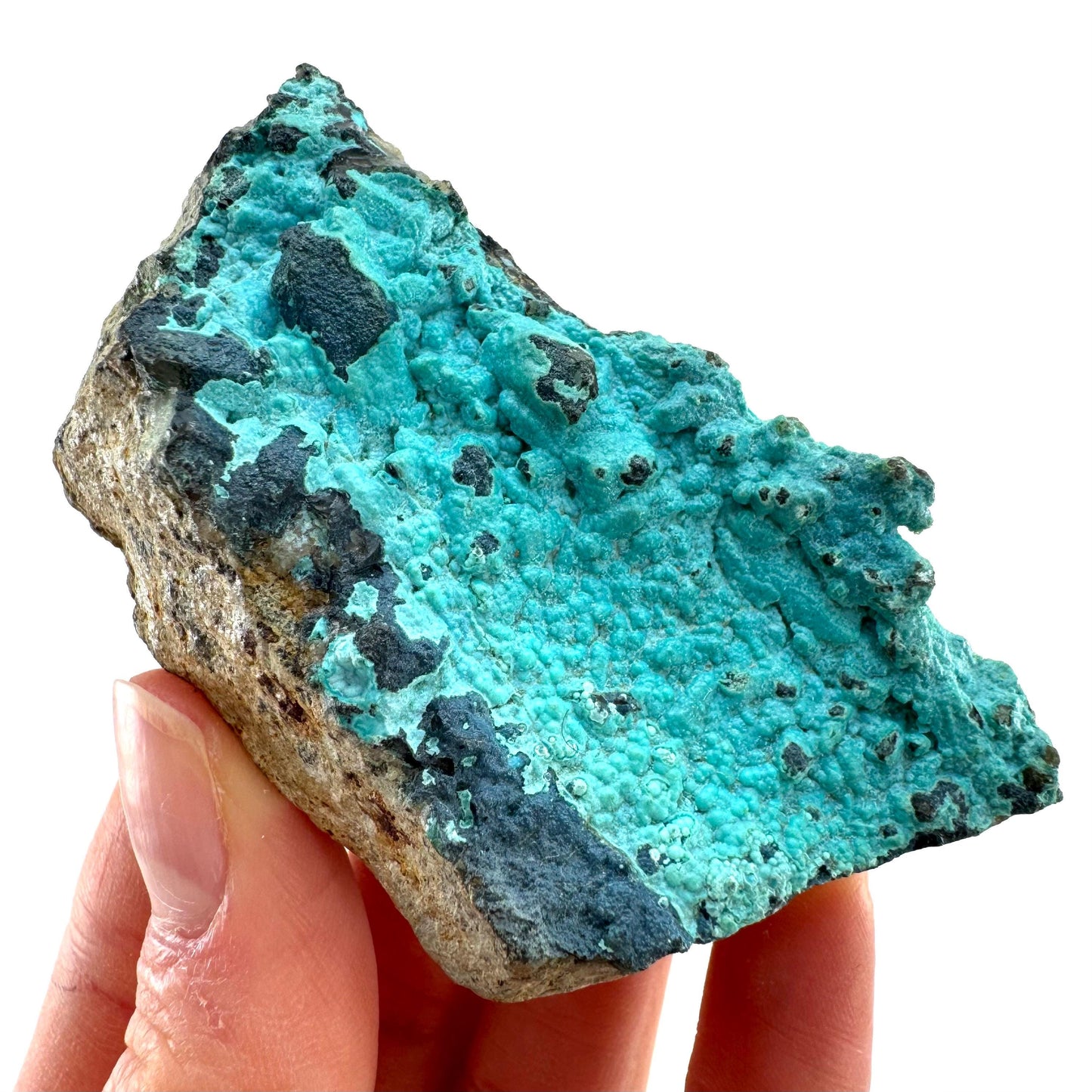 Chrysocolla Specimen (Congo), raw chrysocolla, botryoidal chrysocolla, chrysocolla crystal, rare crystals