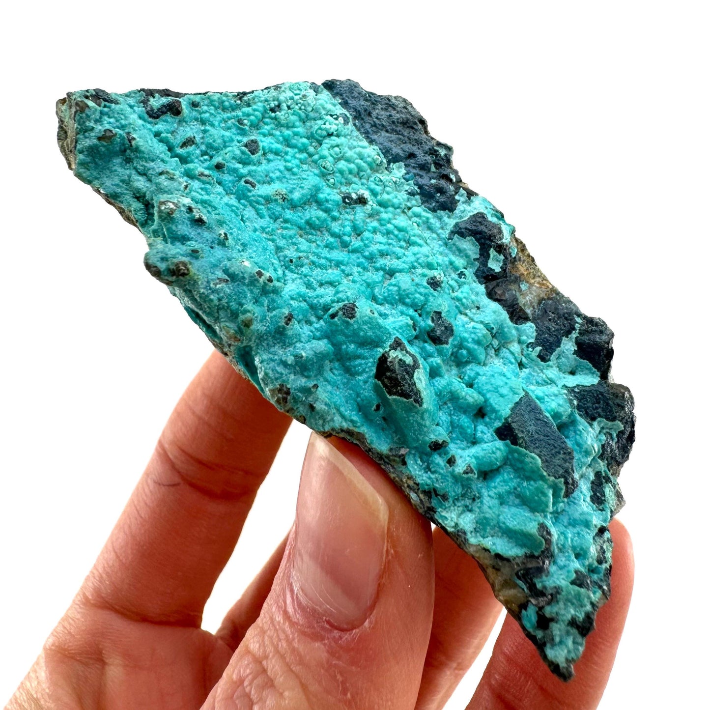 Chrysocolla Specimen (Congo), raw chrysocolla, botryoidal chrysocolla, chrysocolla crystal, rare crystals