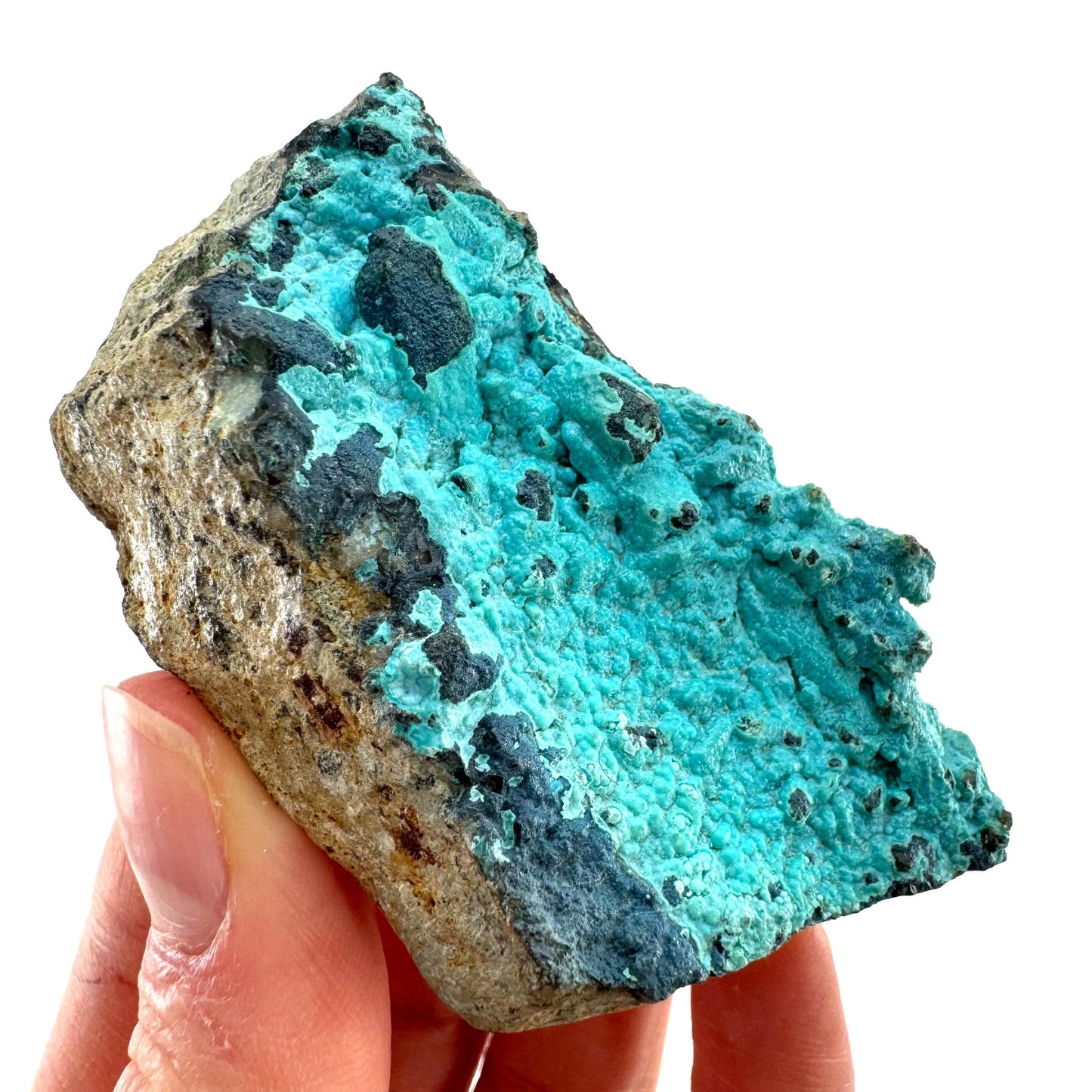 Chrysocolla Specimen (Congo), raw chrysocolla, botryoidal chrysocolla, chrysocolla crystal, rare crystals