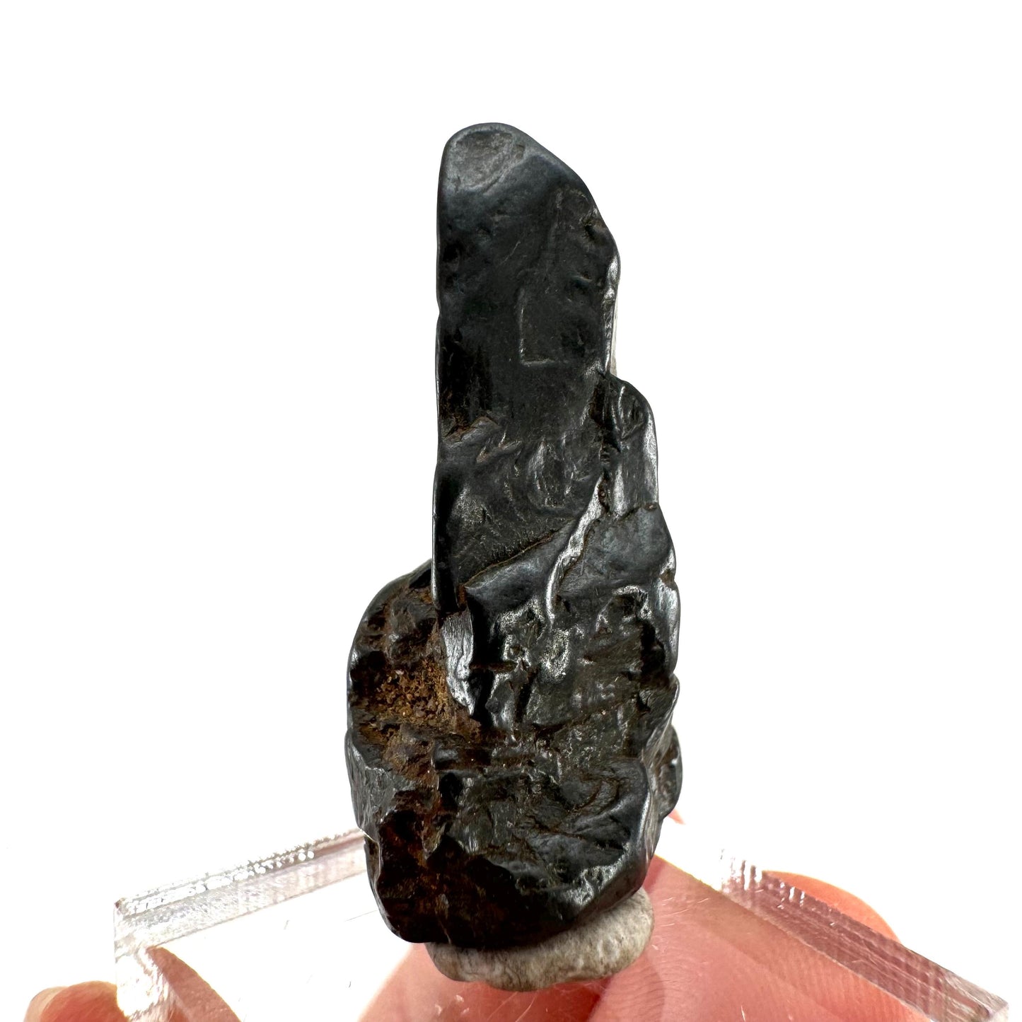 Columbite - Fe Specimen (Madagascar) | Columbite crystal, niobium, tantalite, rare minerals, rare crystals