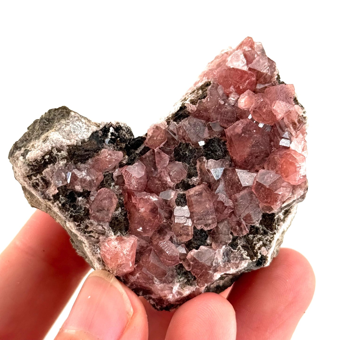 Rhodochrosite on Matrix (Peru) | rhodochrosite crystal, rare crystals, mineral specimen, rare minerals, natural rhodochrosite