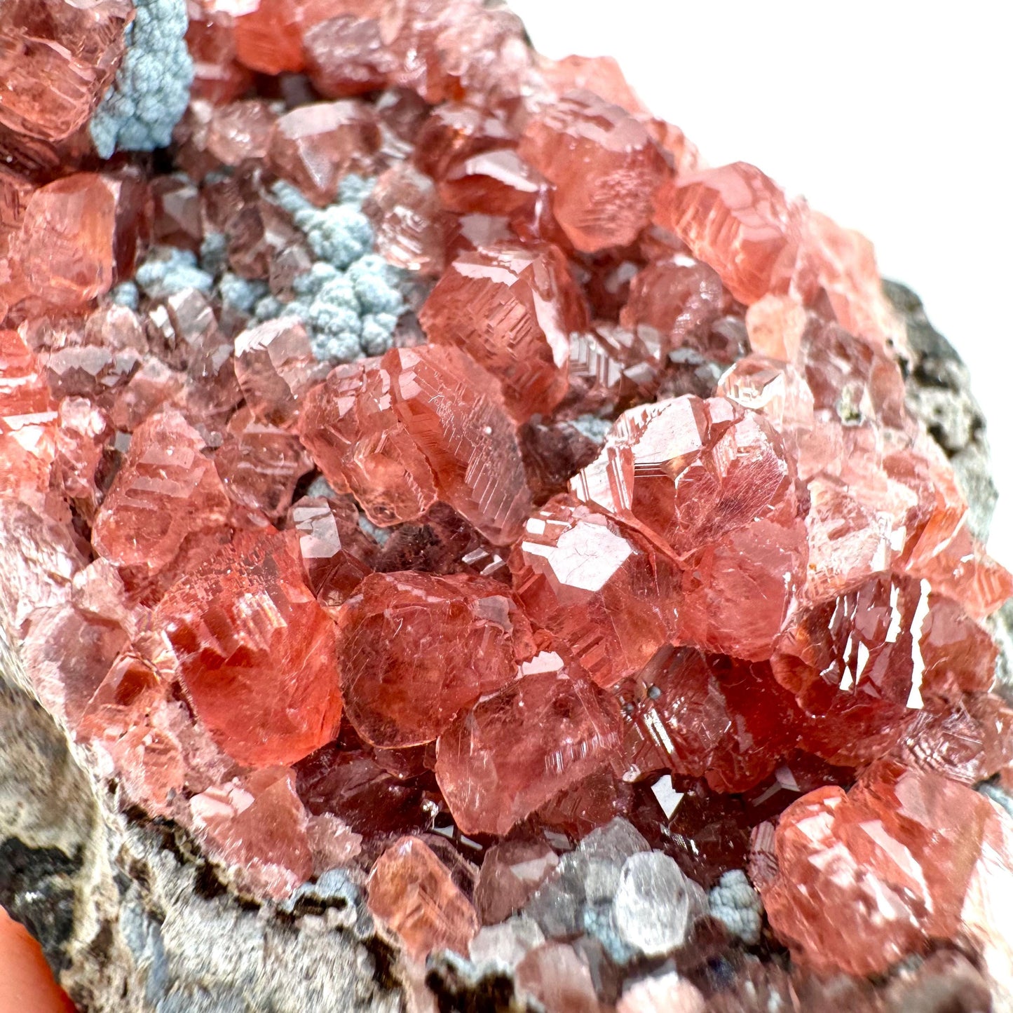 Rhodochrosite on Matrix (Peru) | rhodochrosite crystal, rare crystals, mineral specimen, rare minerals, natural rhodochrosite