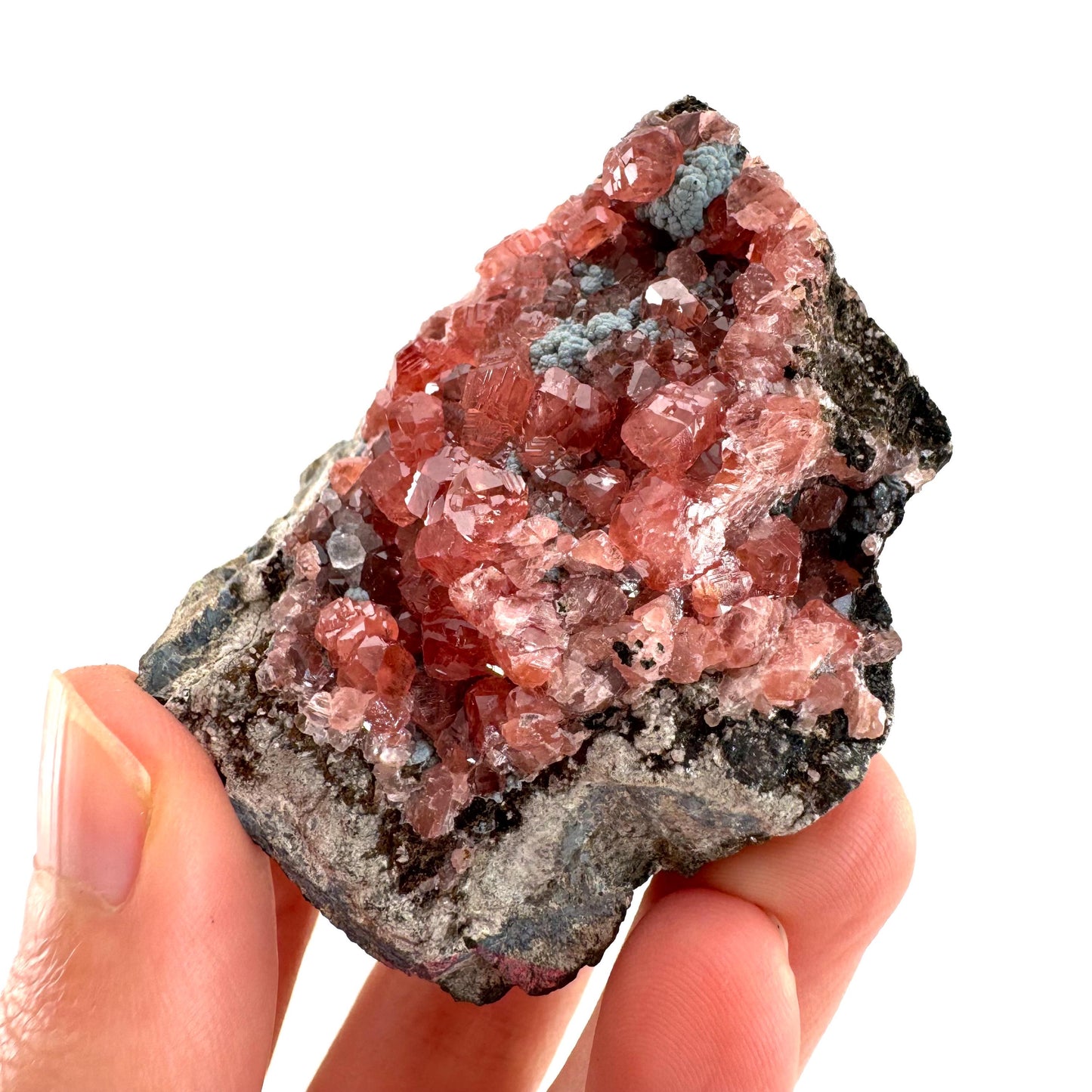 Rhodochrosite on Matrix (Peru) | rhodochrosite crystal, rare crystals, mineral specimen, rare minerals, natural rhodochrosite