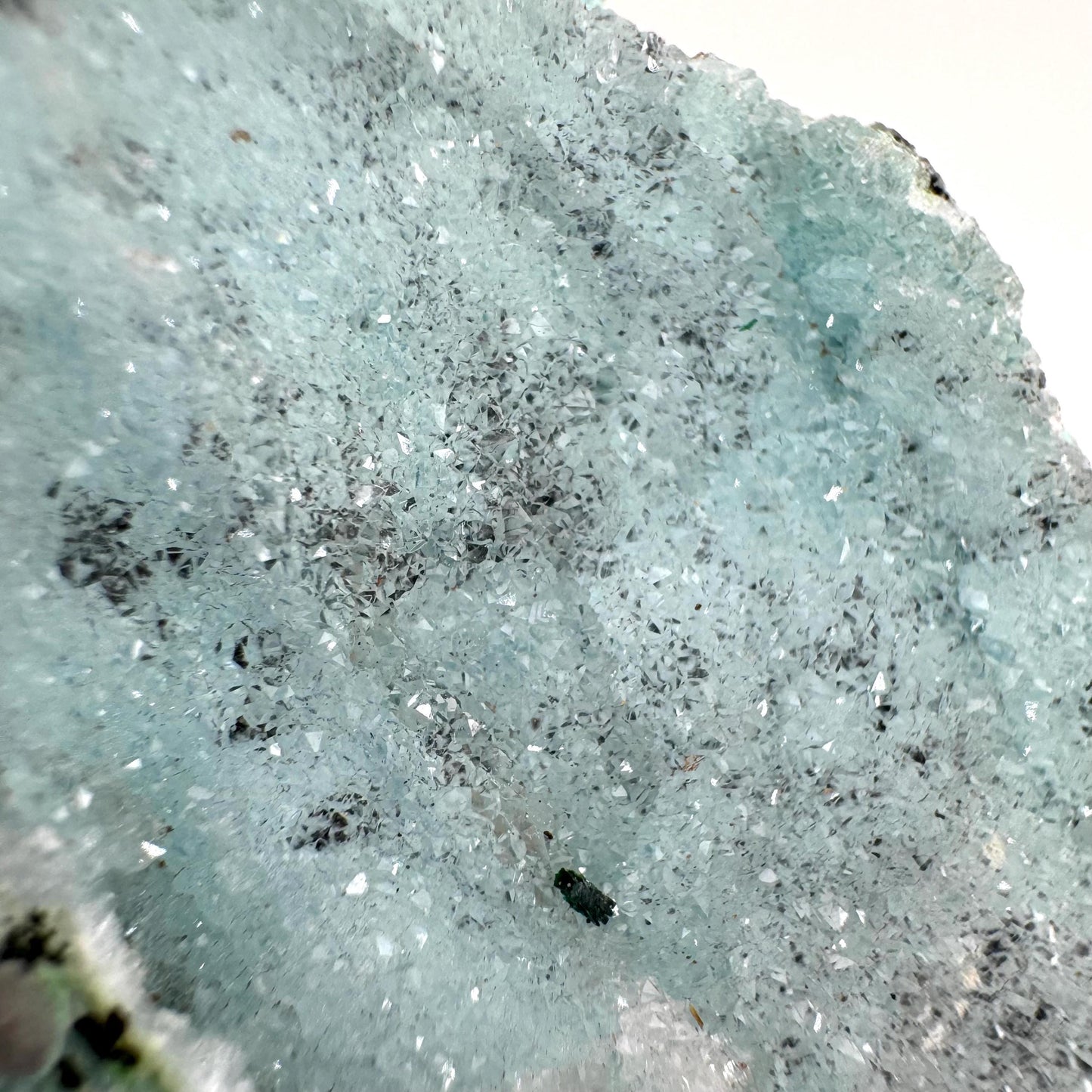 Sparkly Druzy Chrysocolla Specimen (Congo), raw chrysocolla, druzy chrysocolla, chrysocolla crystal, raw crystals