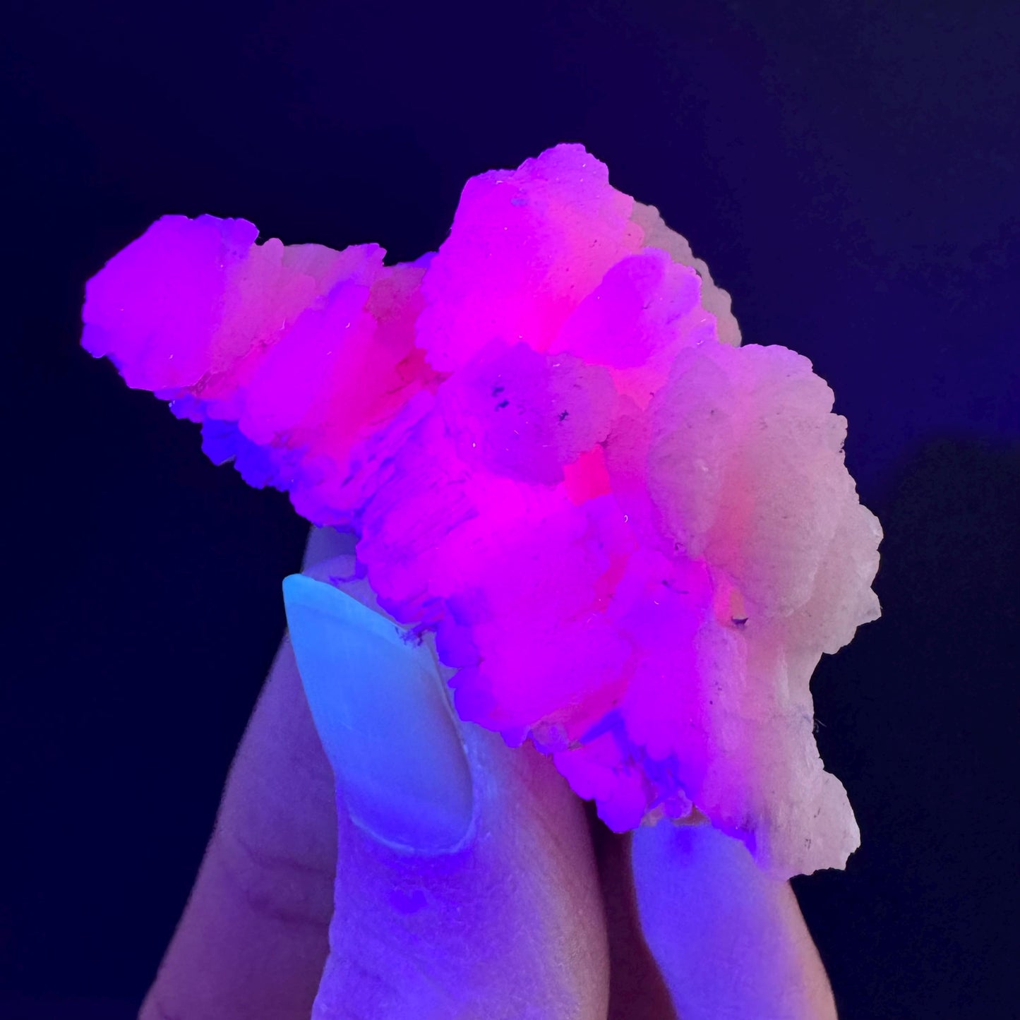 Mangano Calcite w/ Kutnohorite (South Africa) | pink mangano calcite, fluorescent crystal, mineral specimen