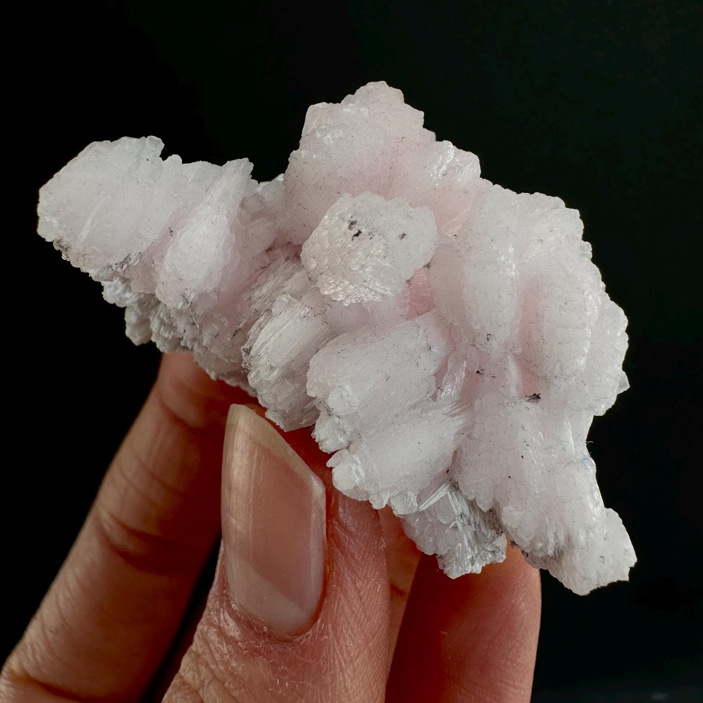 Mangano Calcite w/ Kutnohorite (South Africa) | pink mangano calcite, fluorescent crystal, mineral specimen