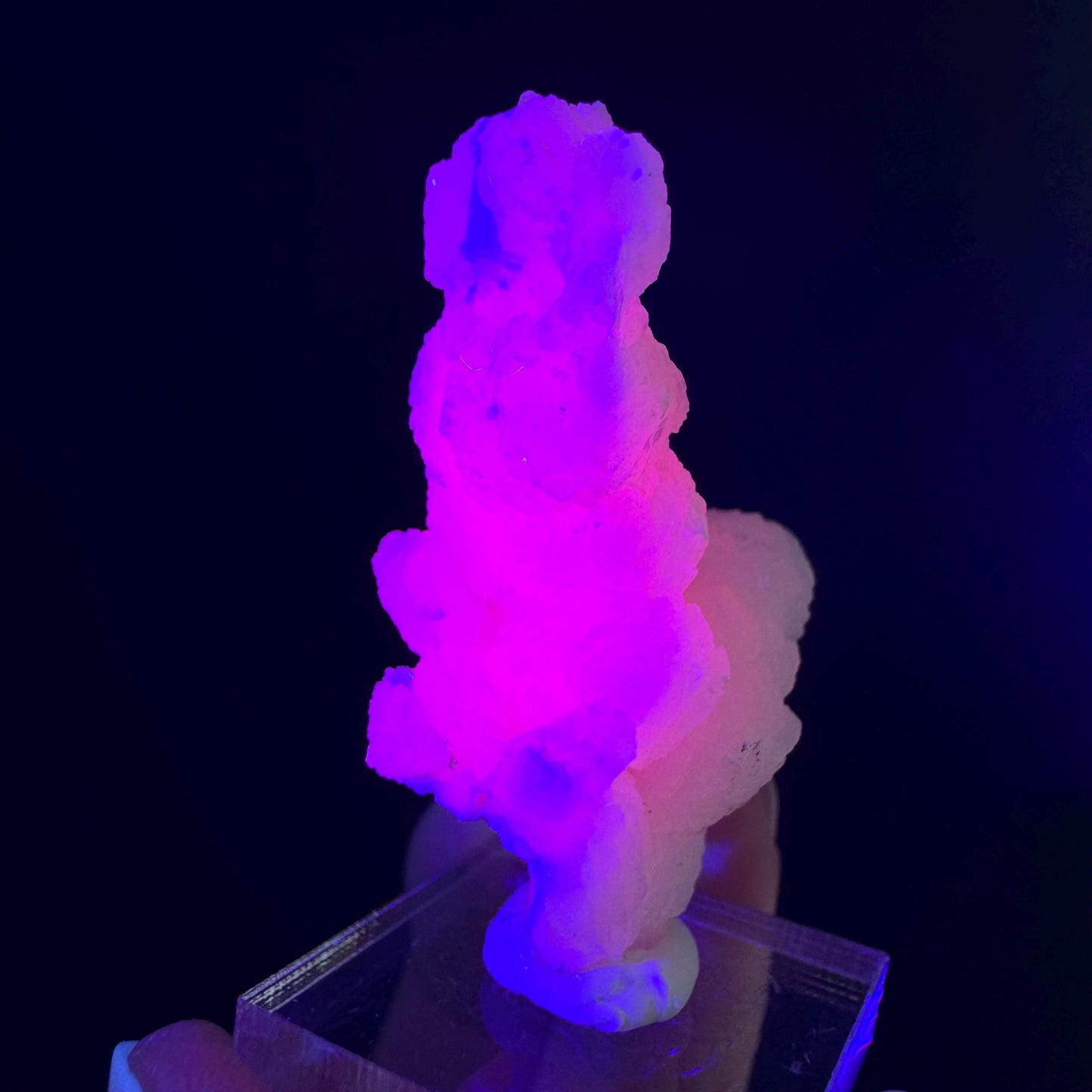 Mangano Calcite w/ Kutnohorite (South Africa) | pink mangano calcite, fluorescent crystal, mineral specimen