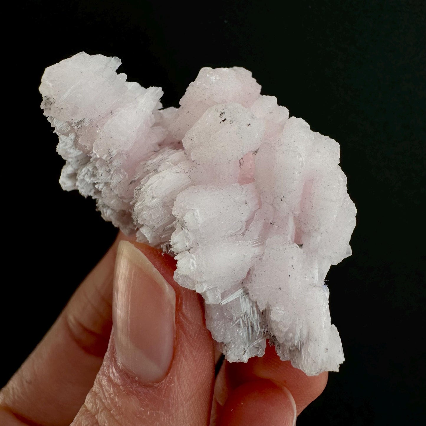 Mangano Calcite w/ Kutnohorite (South Africa) | pink mangano calcite, fluorescent crystal, mineral specimen