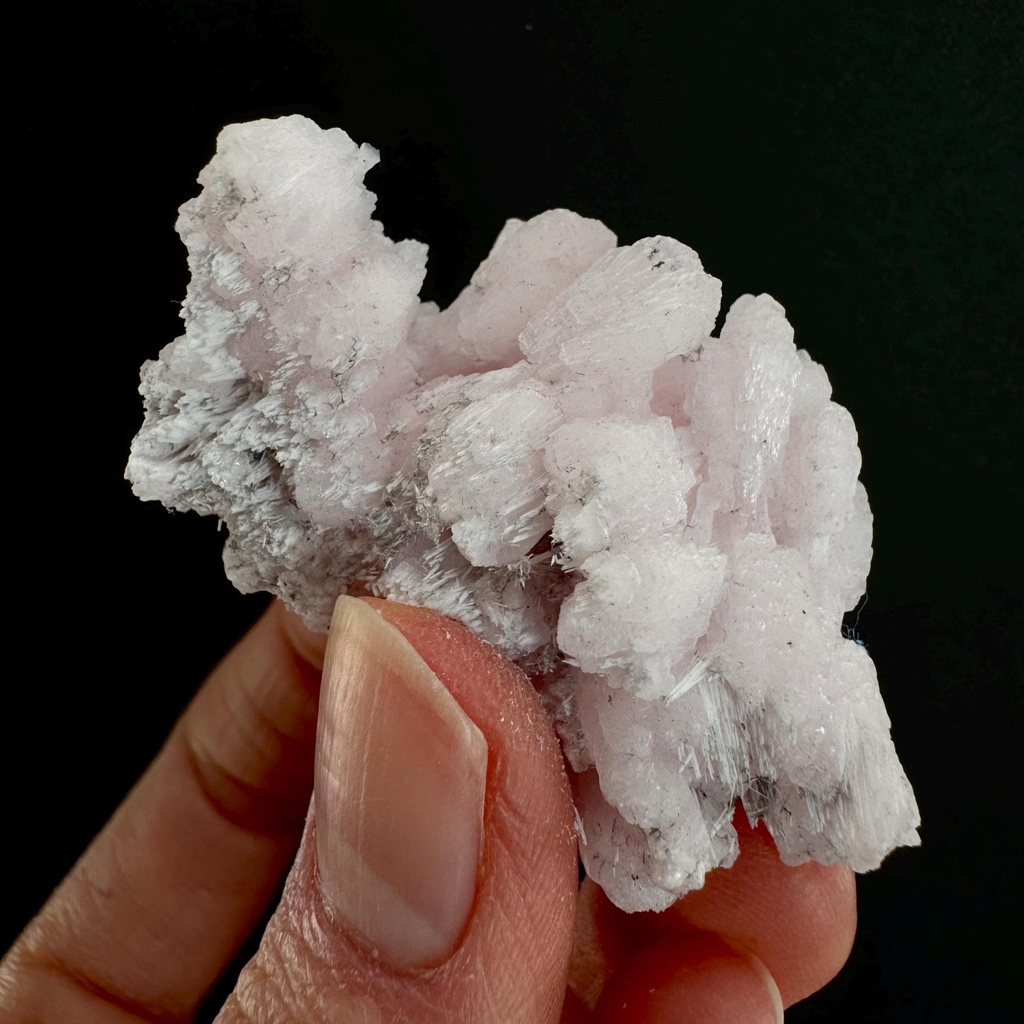 Mangano Calcite w/ Kutnohorite (South Africa) | pink mangano calcite, fluorescent crystal, mineral specimen