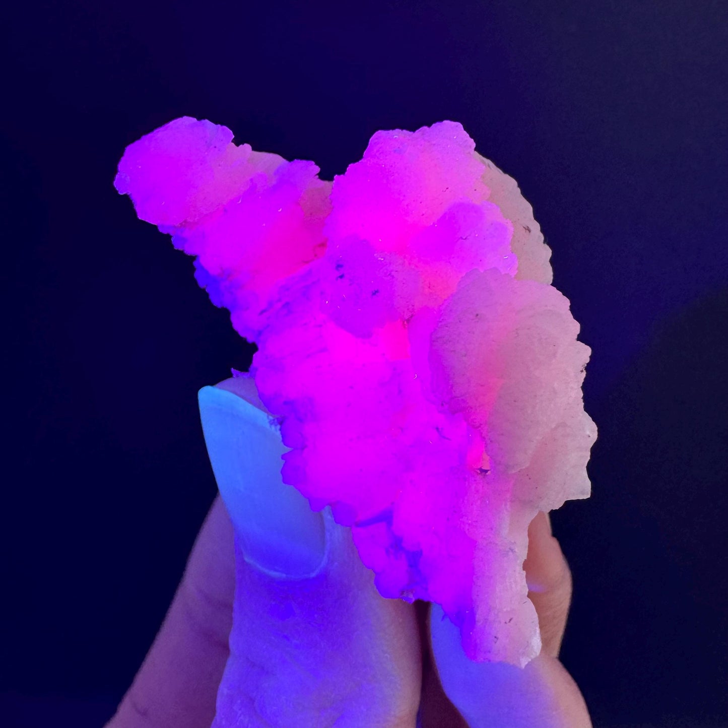 Mangano Calcite w/ Kutnohorite (South Africa) | pink mangano calcite, fluorescent crystal, mineral specimen