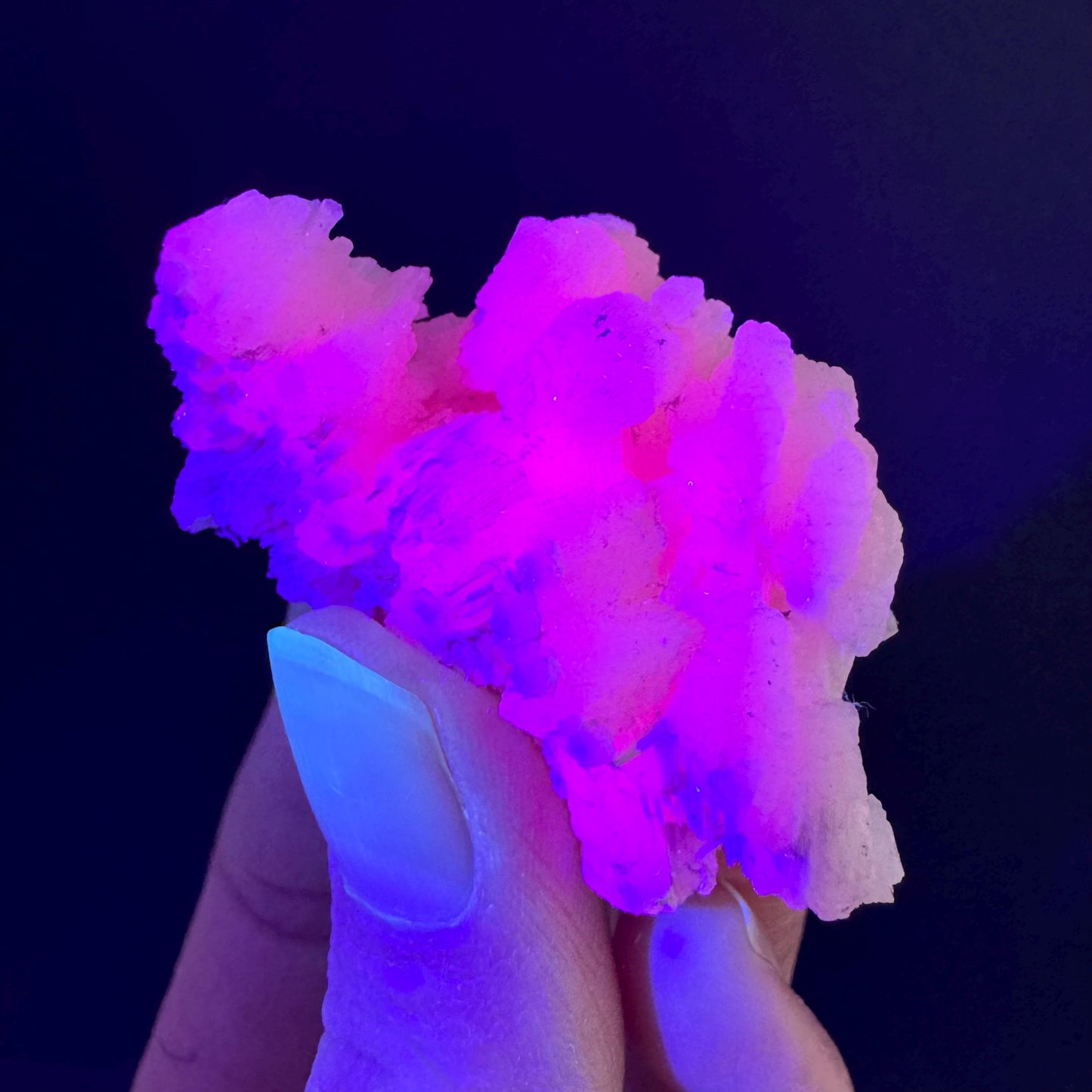 Mangano Calcite w/ Kutnohorite (South Africa) | pink mangano calcite, fluorescent crystal, mineral specimen