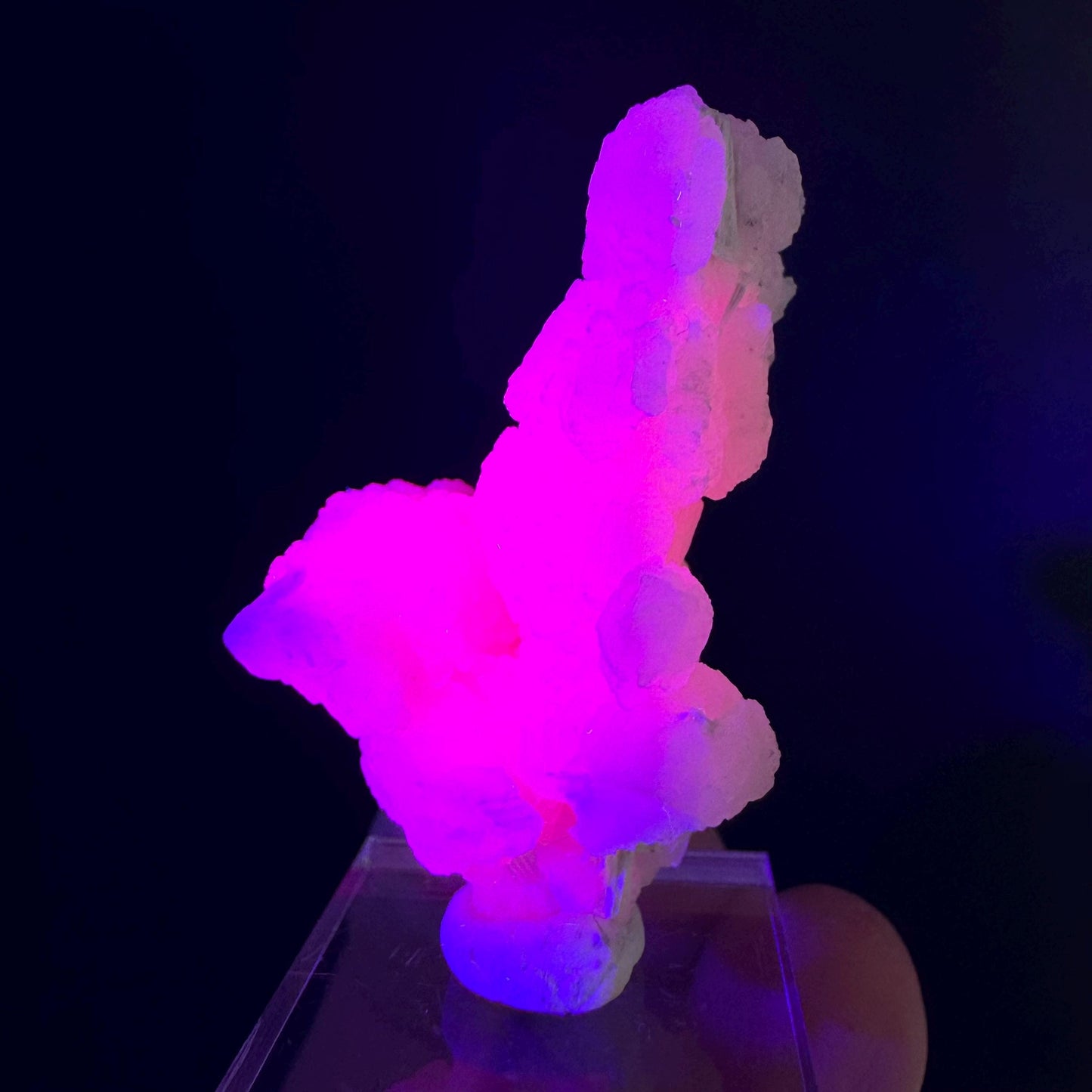 Mangano Calcite w/ Kutnohorite (South Africa) | pink mangano calcite, fluorescent crystal, mineral specimen